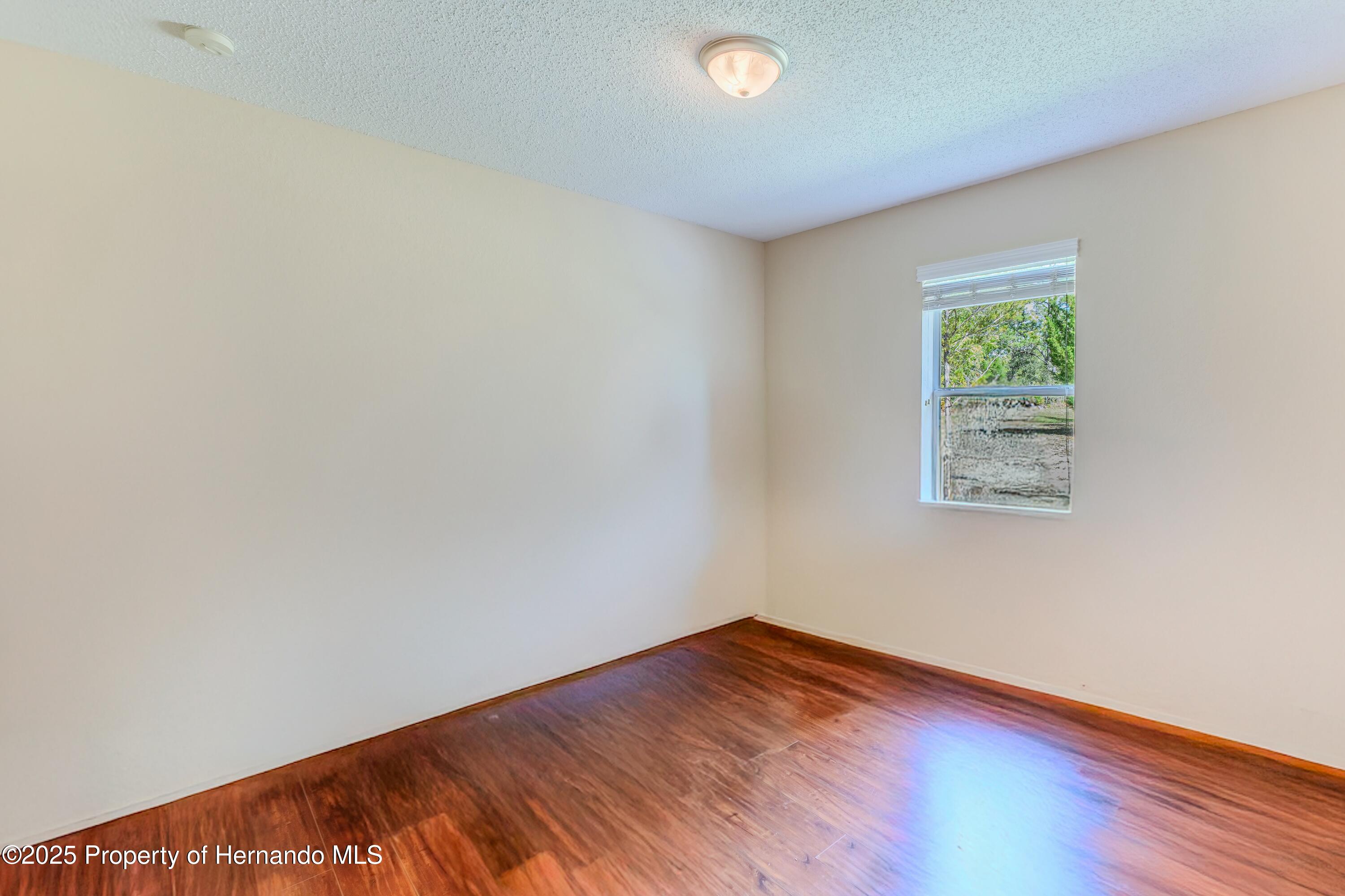 11437 Tinamou Avenue, Weeki Wachee, Florida image 41