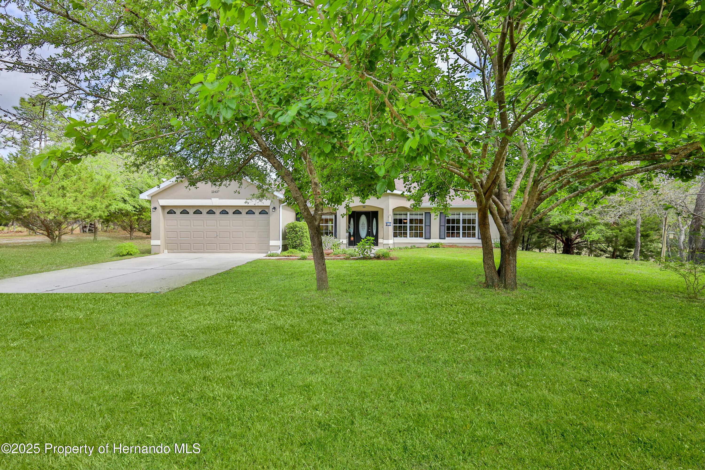 11437 Tinamou Avenue, Weeki Wachee, Florida image 48