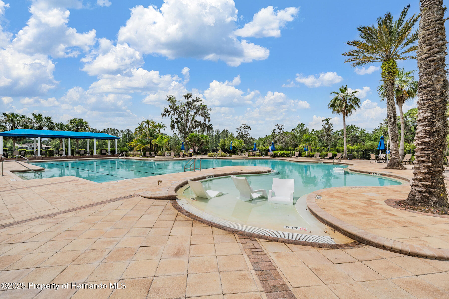 19529 Lily Pond Court, Brooksville, Florida image 47