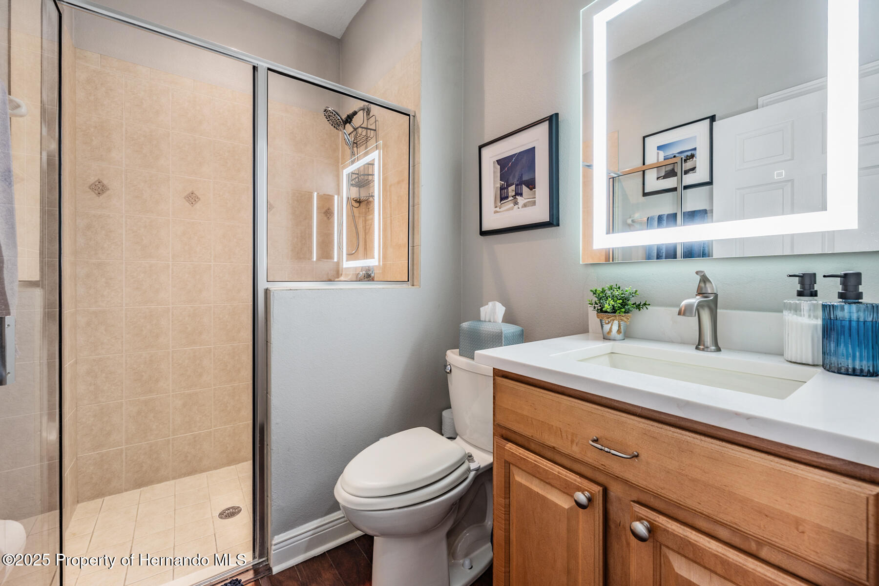 19529 Lily Pond Court, Brooksville, Florida image 30