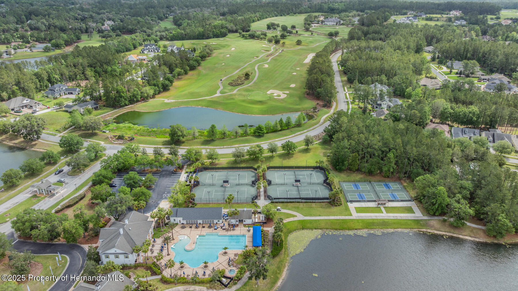 19529 Lily Pond Court, Brooksville, Florida image 50