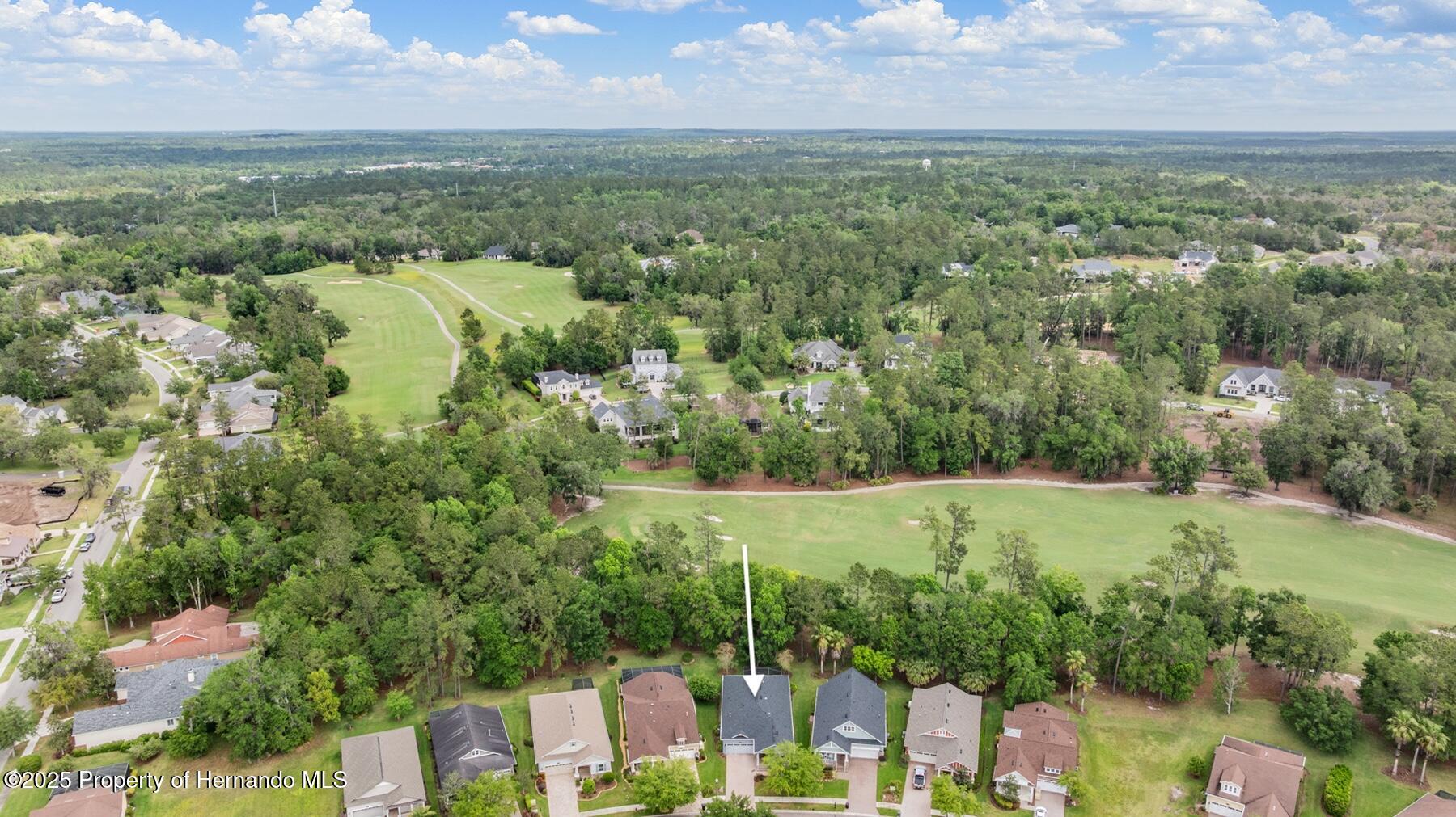 19529 Lily Pond Court, Brooksville, Florida image 38