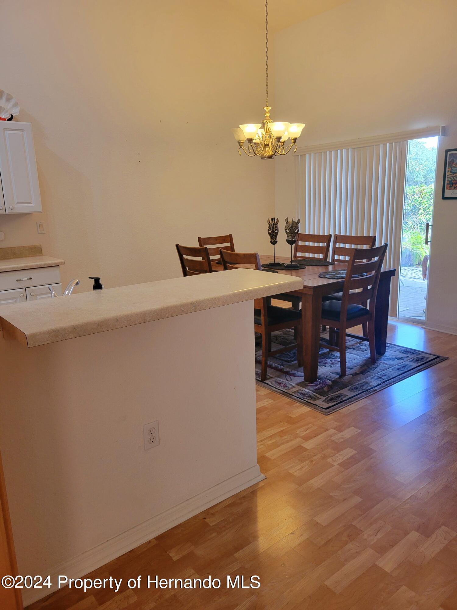 10362 Chalmer Street, Spring Hill, Florida image 7