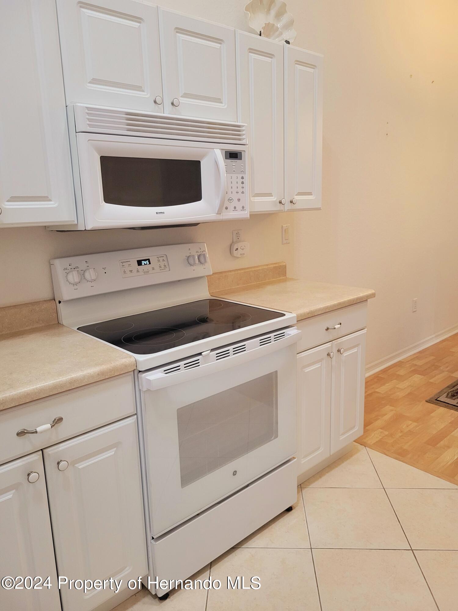 10362 Chalmer Street, Spring Hill, Florida image 17