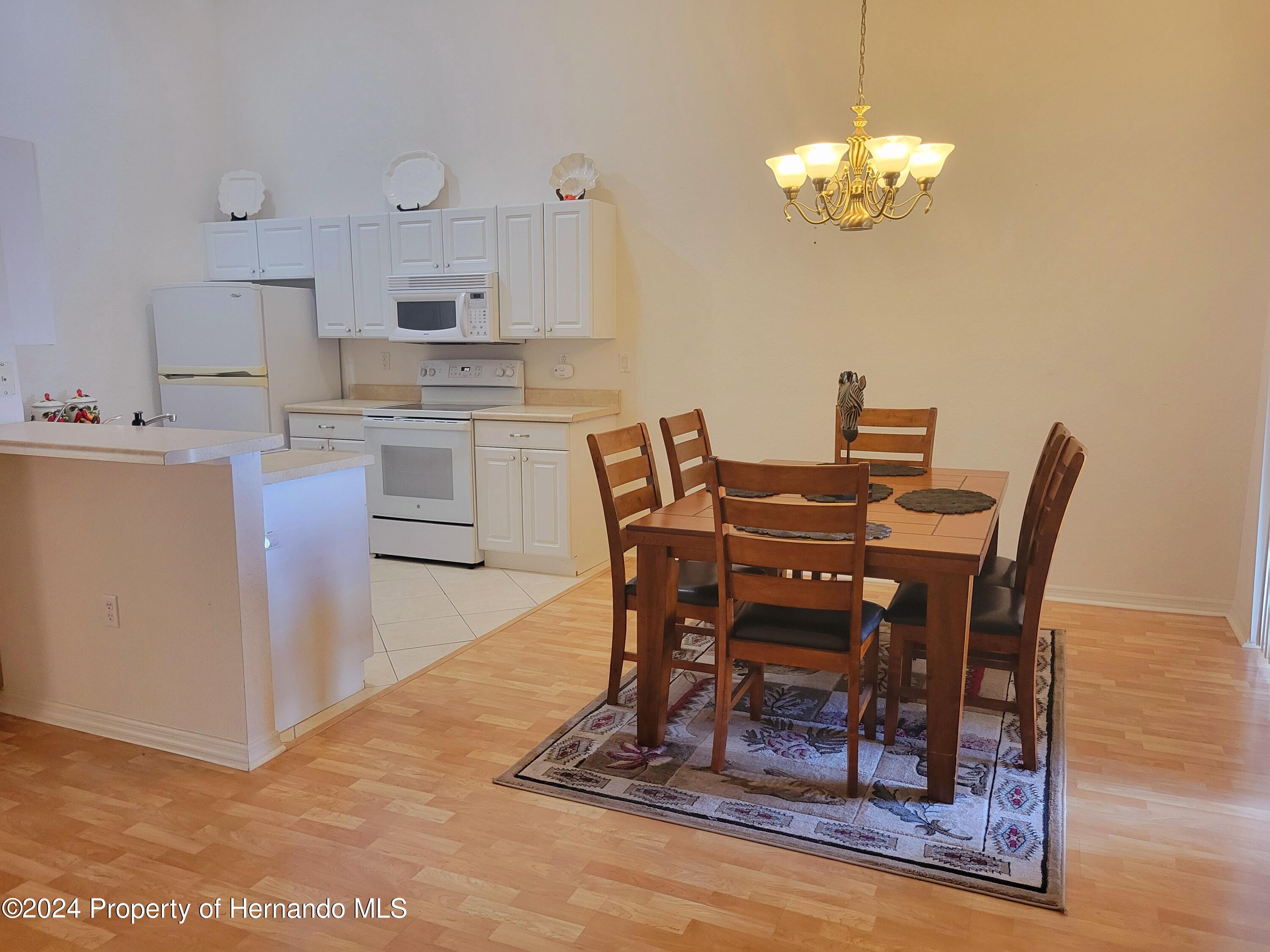 10362 Chalmer Street, Spring Hill, Florida image 10