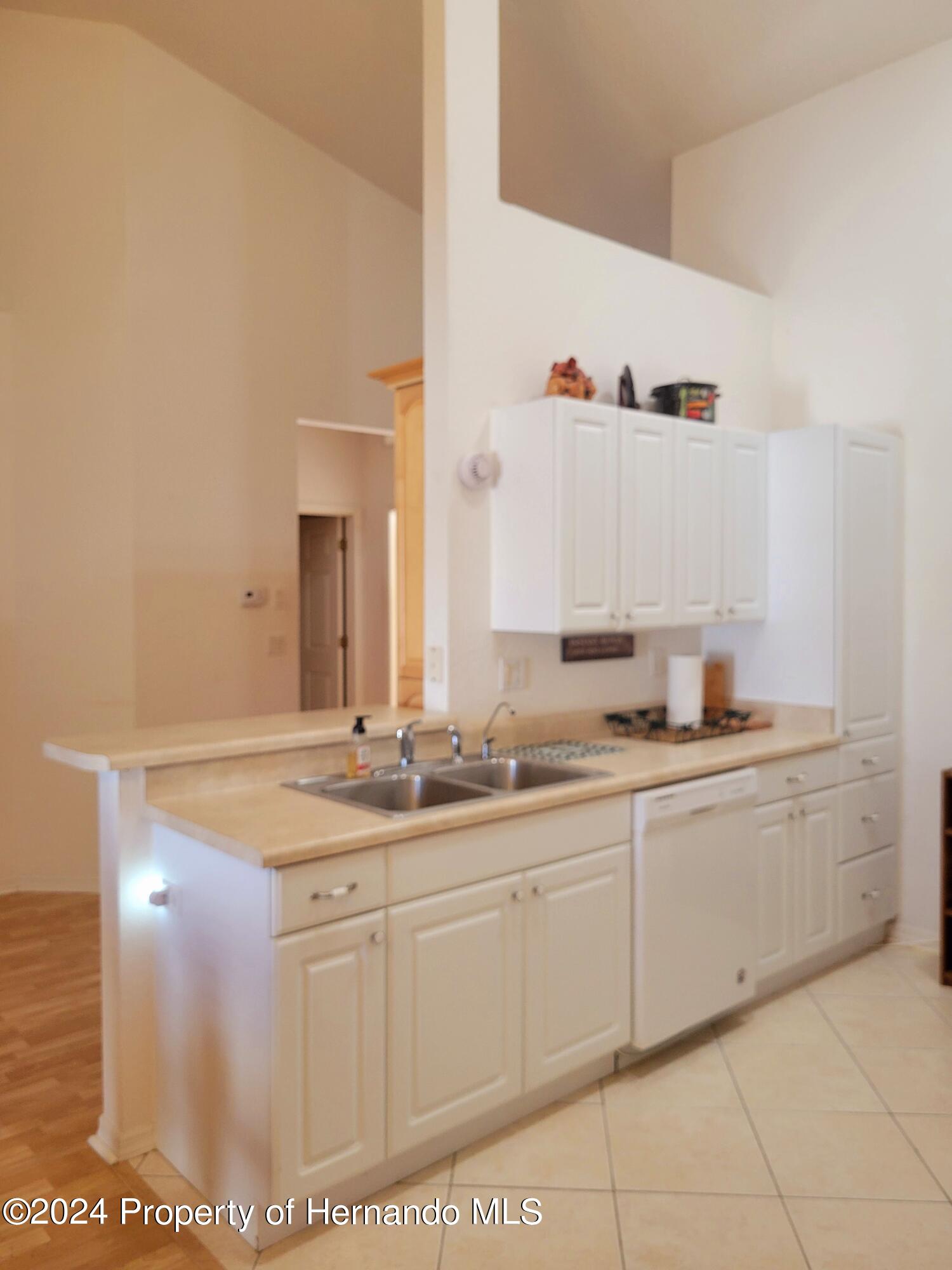 10362 Chalmer Street, Spring Hill, Florida image 16