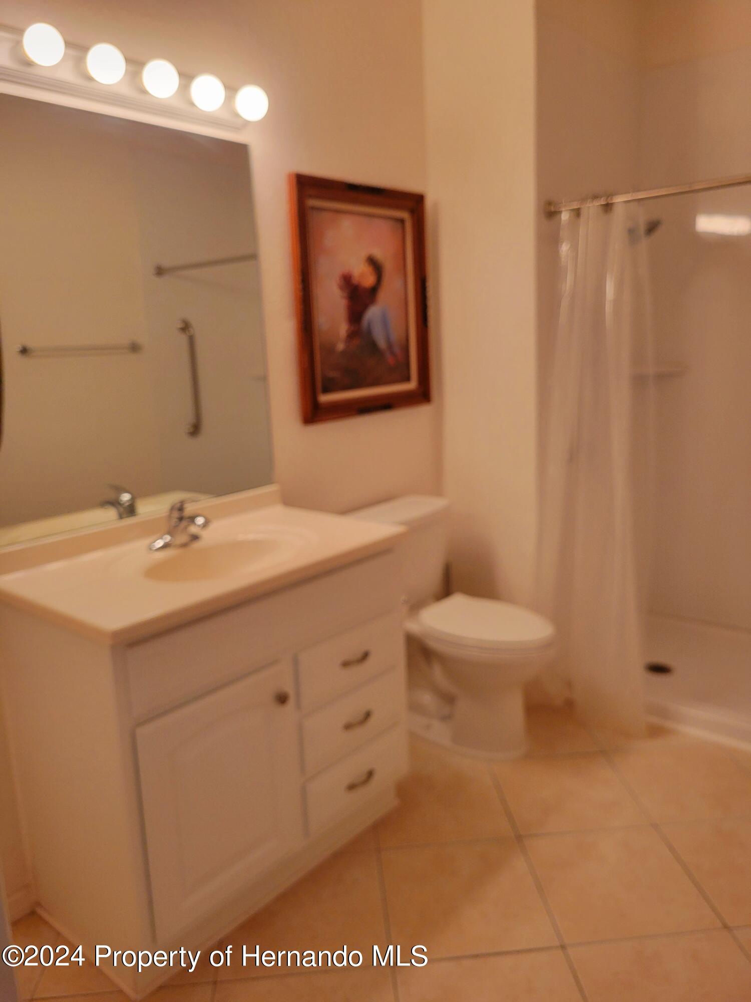 10362 Chalmer Street, Spring Hill, Florida image 26