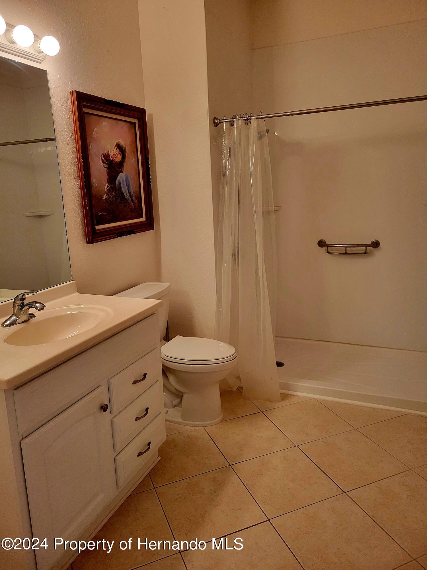 10362 Chalmer Street, Spring Hill, Florida image 27