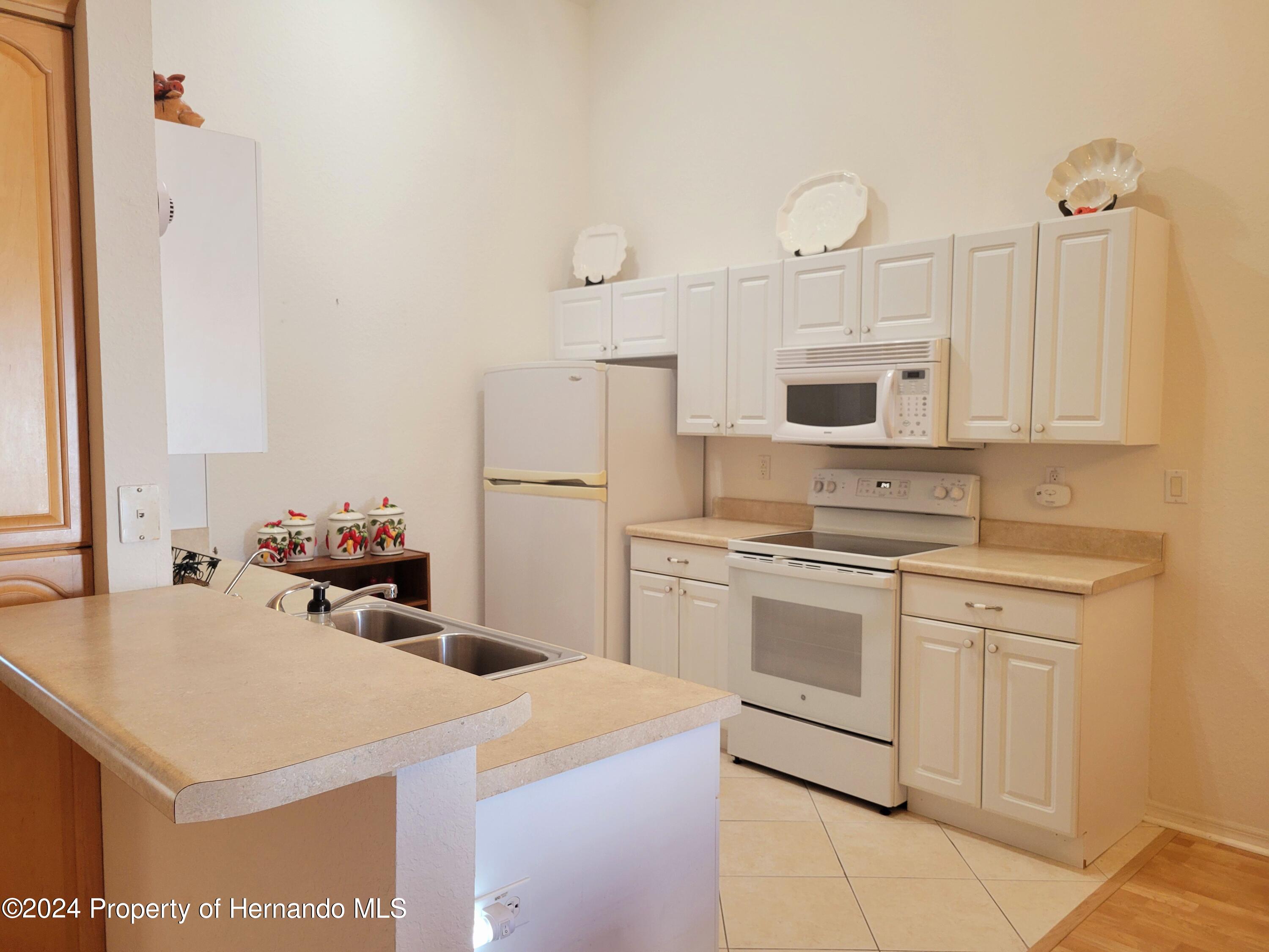 10362 Chalmer Street, Spring Hill, Florida image 12