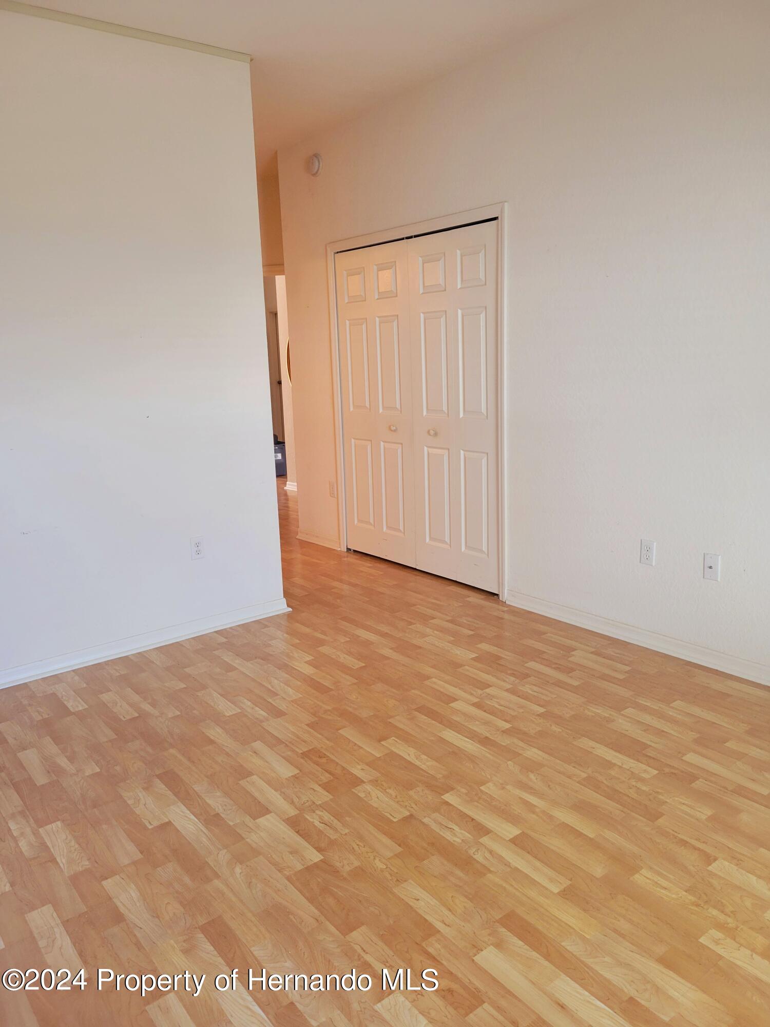 10362 Chalmer Street, Spring Hill, Florida image 30