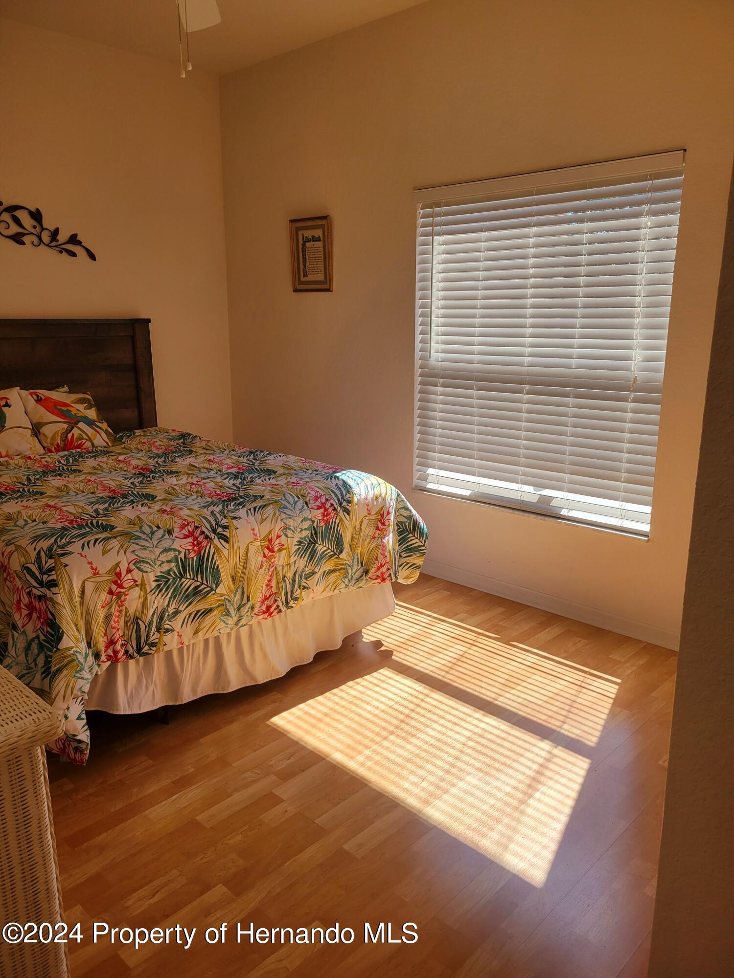10362 Chalmer Street, Spring Hill, Florida image 24