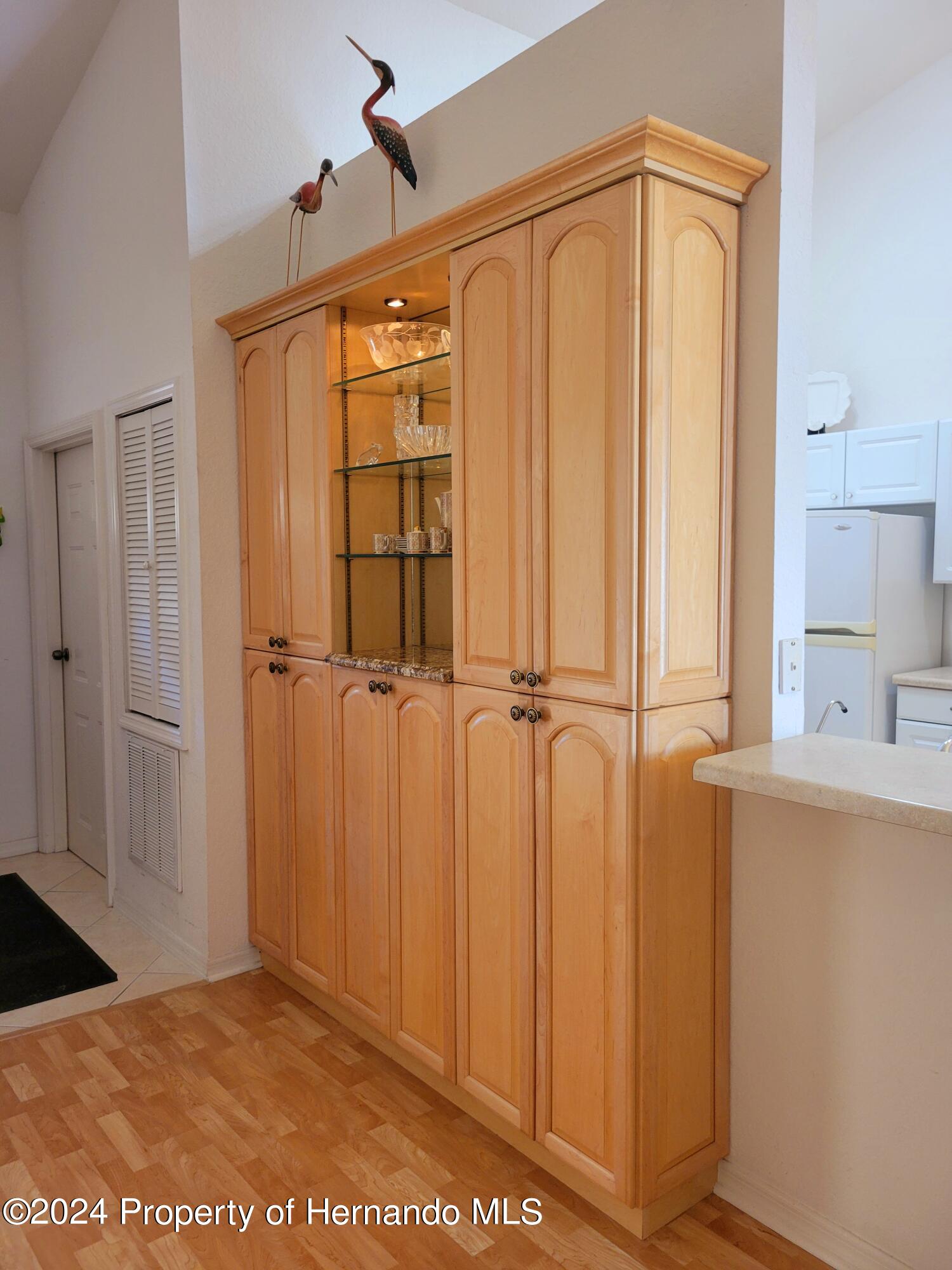 10362 Chalmer Street, Spring Hill, Florida image 20