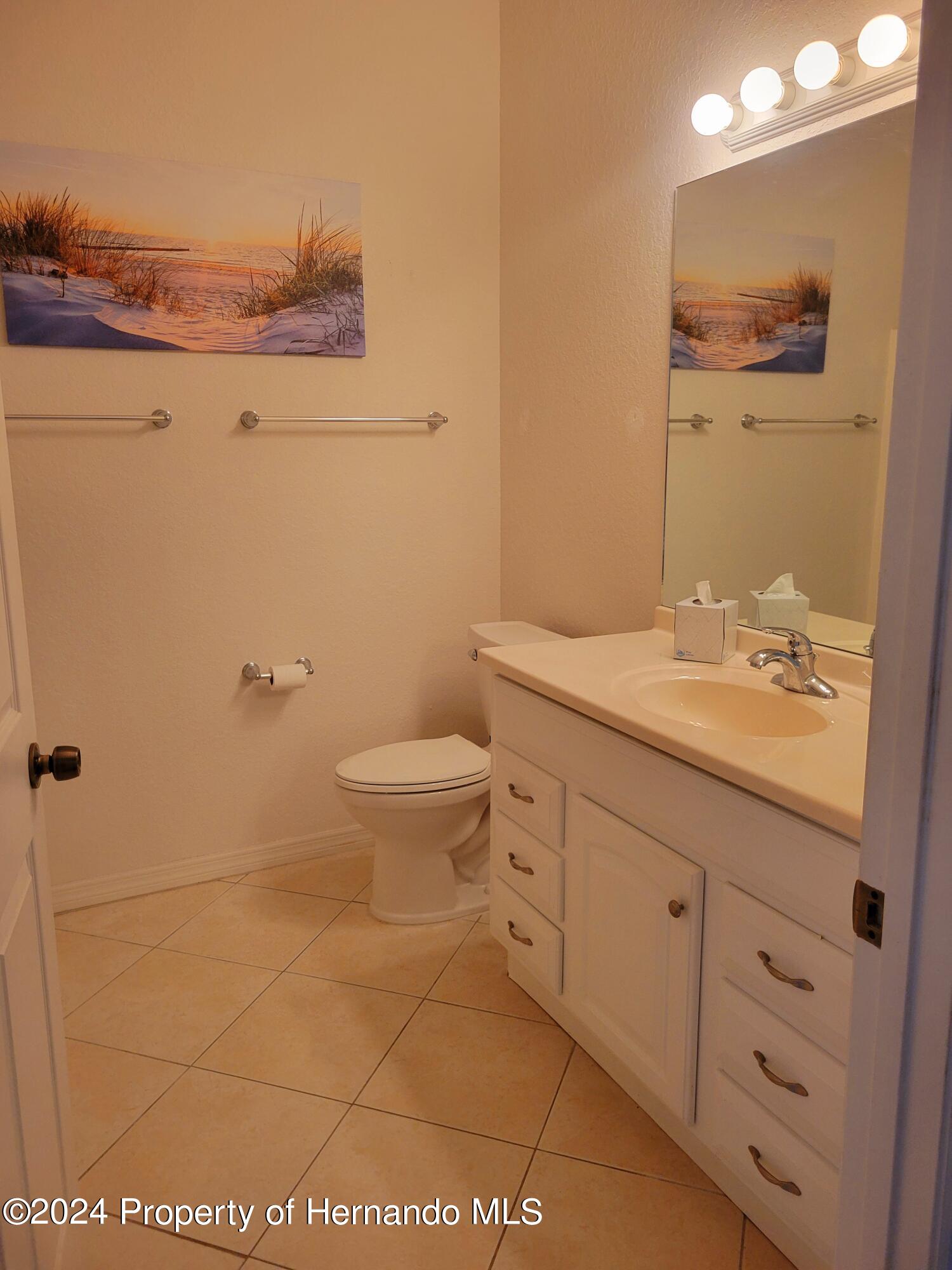 10362 Chalmer Street, Spring Hill, Florida image 32
