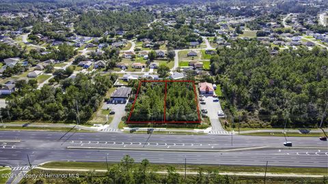 Vacant Land For Sale - 9990 Cortez Boulevard<br/> Spring Hill, FL 34606