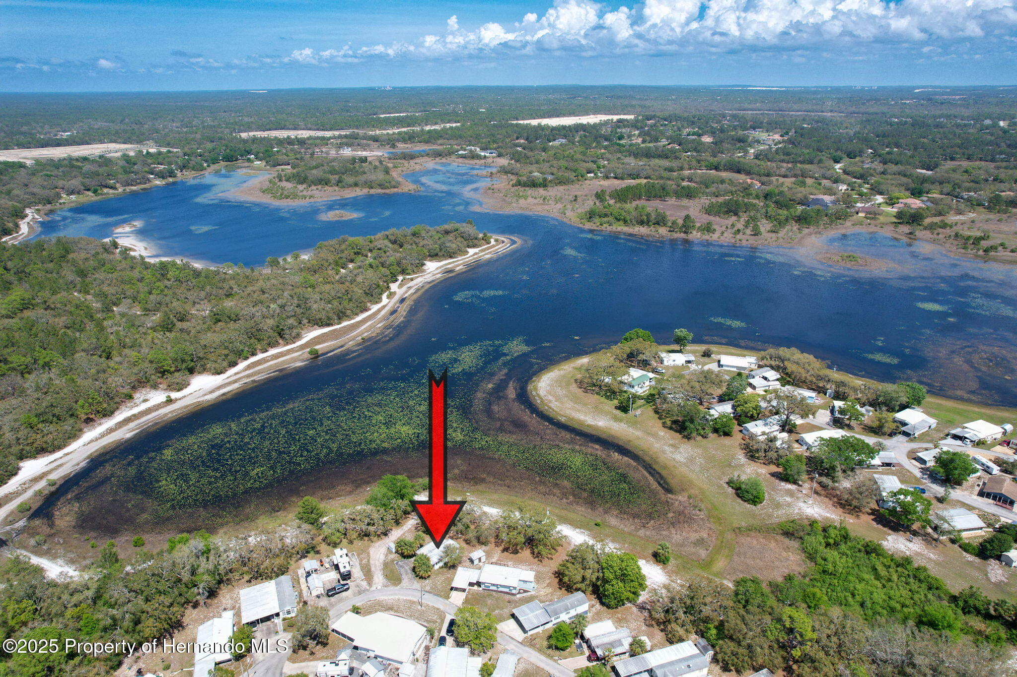 9482 Gray Fox Dr, Weeki Wachee, Florida image 4