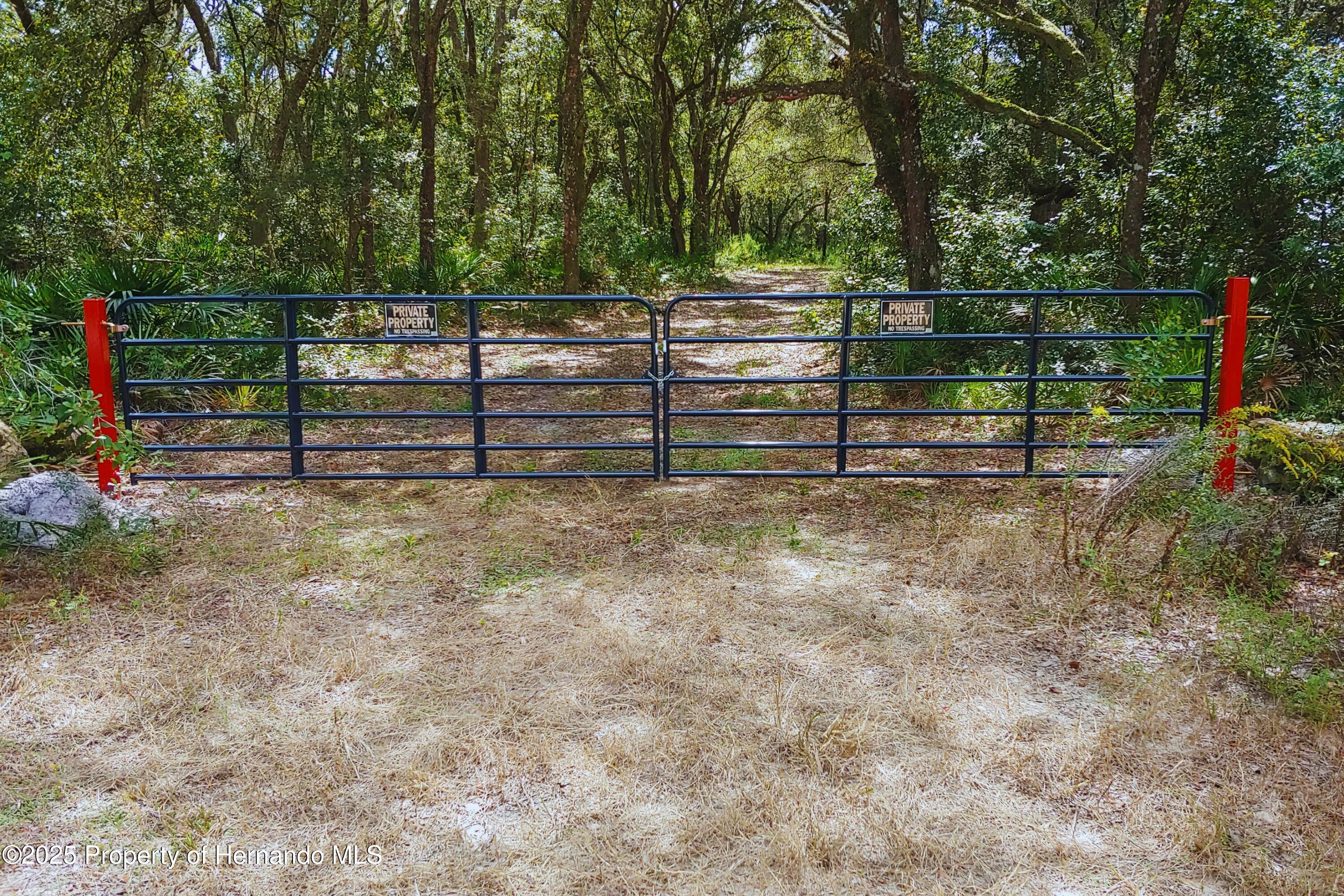 Butternut Drive, Webster, Florida image 1