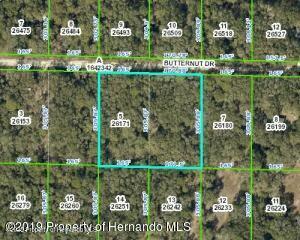 Butternut Drive, Webster, Florida image 4