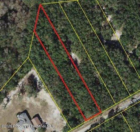 Vacant Land For Sale - Rimrock Street<br/> Webster, FL 33597