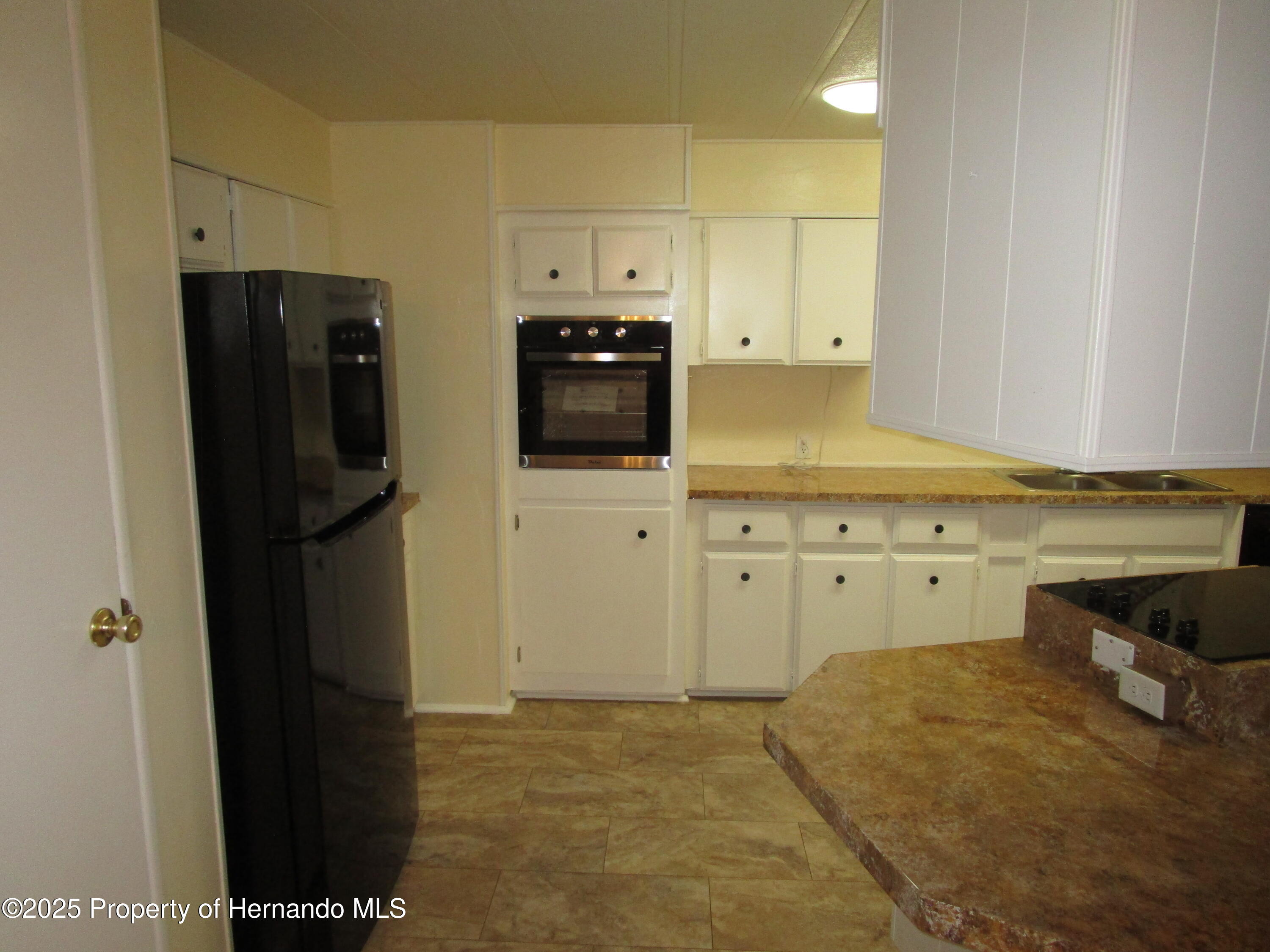 16221 Brookridge Boulevard, Brooksville, Florida image 9