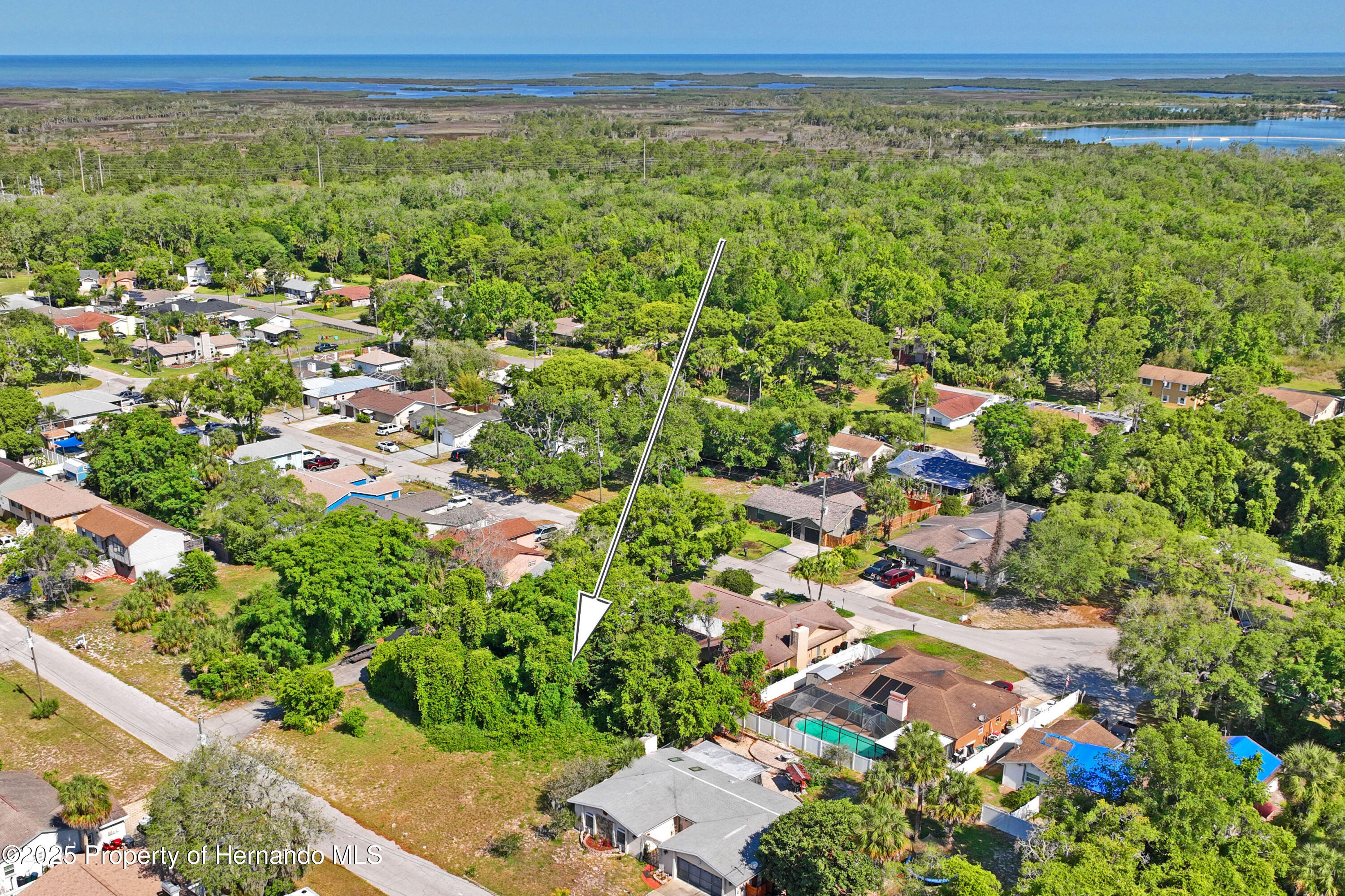 Jolly Roger Drive, Hudson, Florida image 9