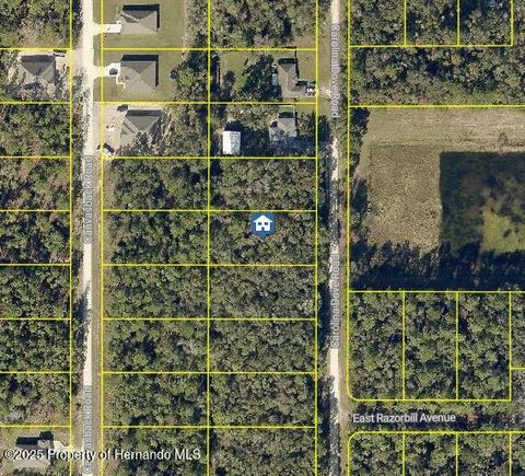 Vacant Land For Sale - LOT 1021 Carolina Dove Road<br/> Weeki Wachee, FL 34614