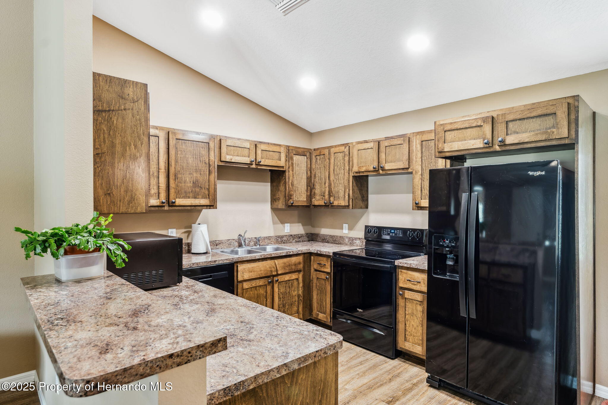 1161 443 County Road, Lake Panasoffkee, Florida image 14