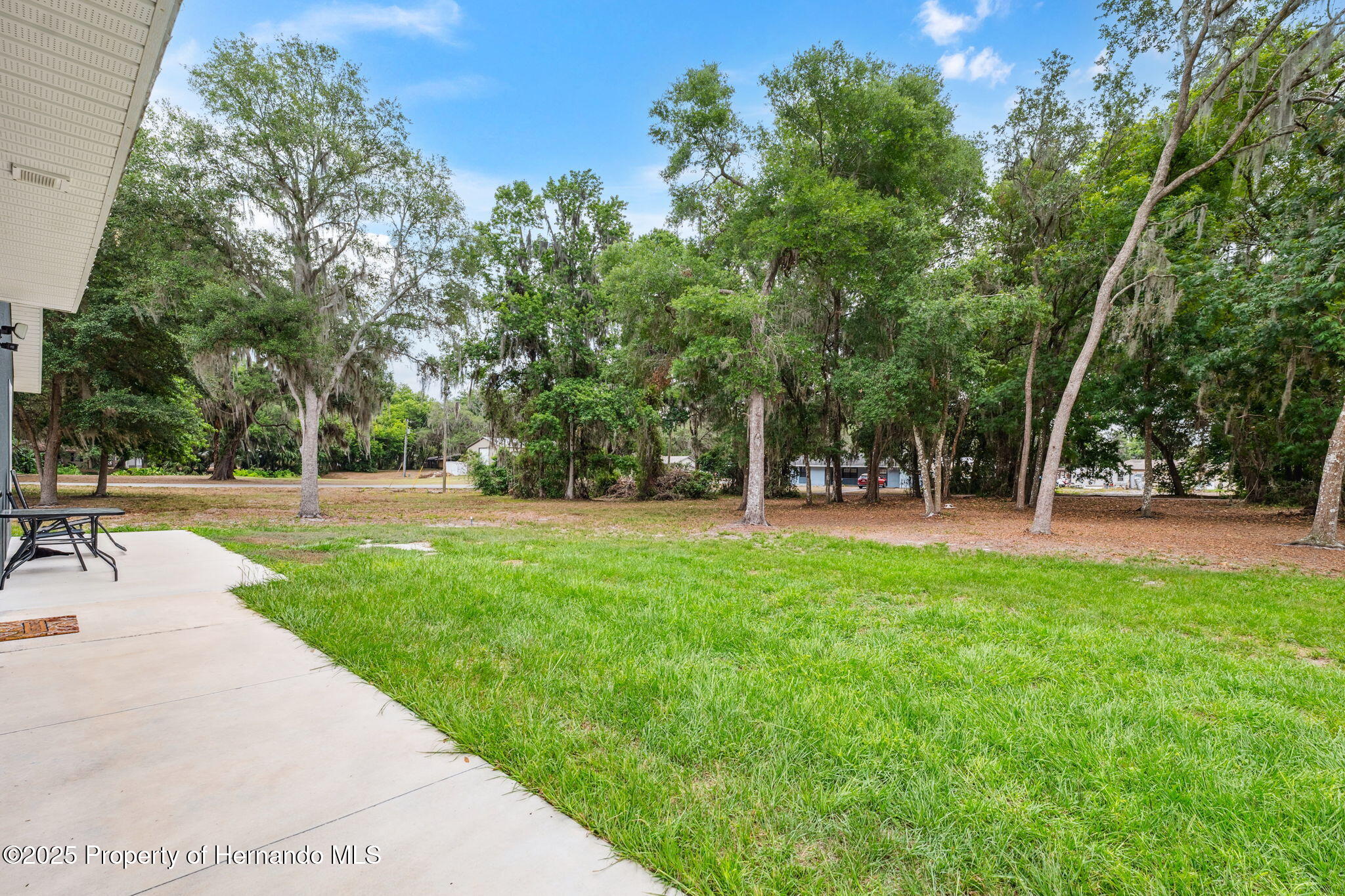 1161 443 County Road, Lake Panasoffkee, Florida image 34