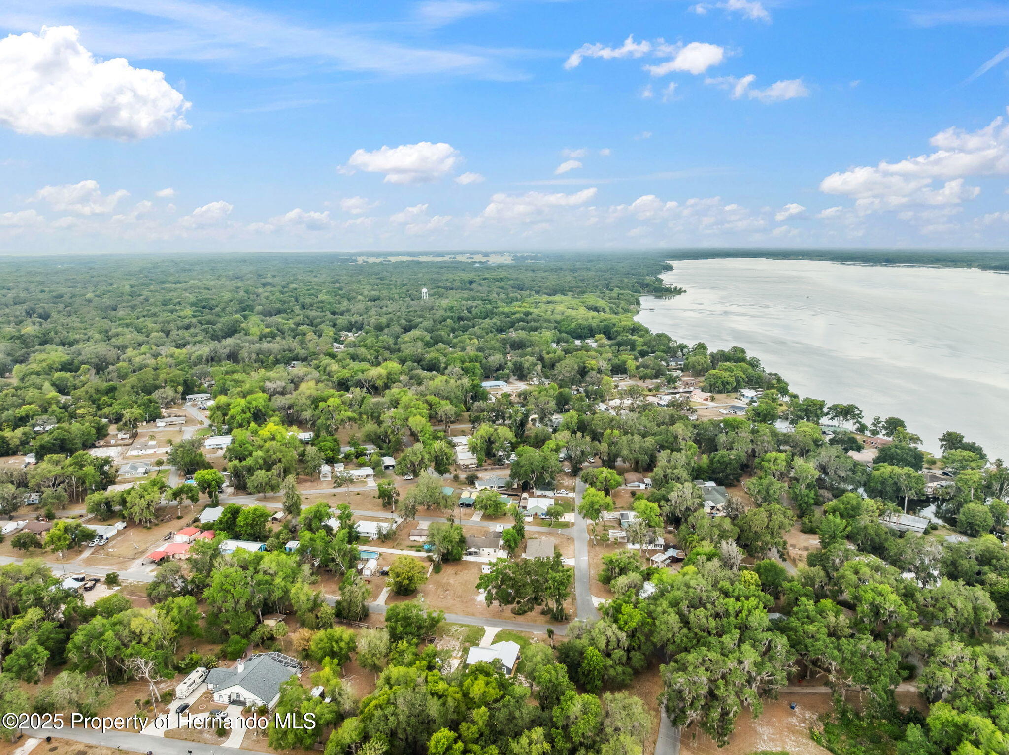 1161 443 County Road, Lake Panasoffkee, Florida image 45