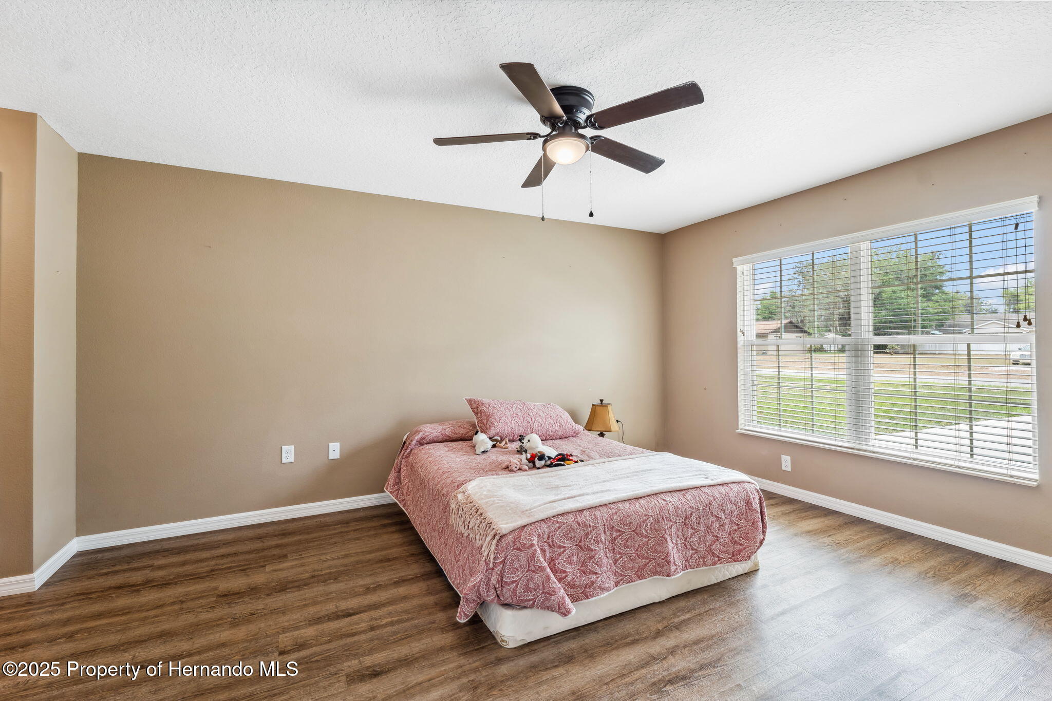 1161 443 County Road, Lake Panasoffkee, Florida image 19