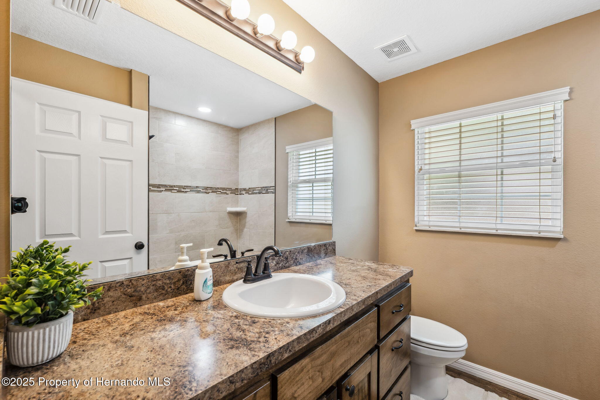 1161 443 County Road, Lake Panasoffkee, Florida image 27