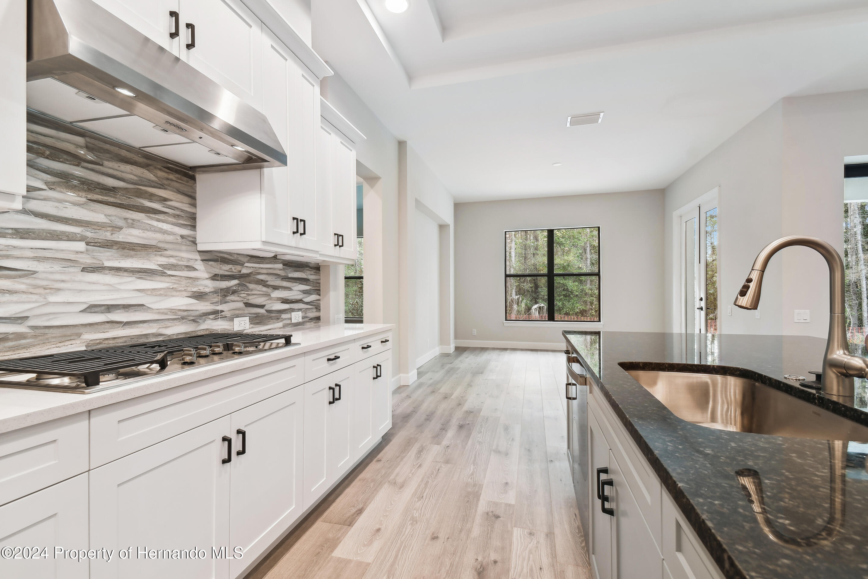 19411 Sheltered Hill Drive, Brooksville, Florida image 4