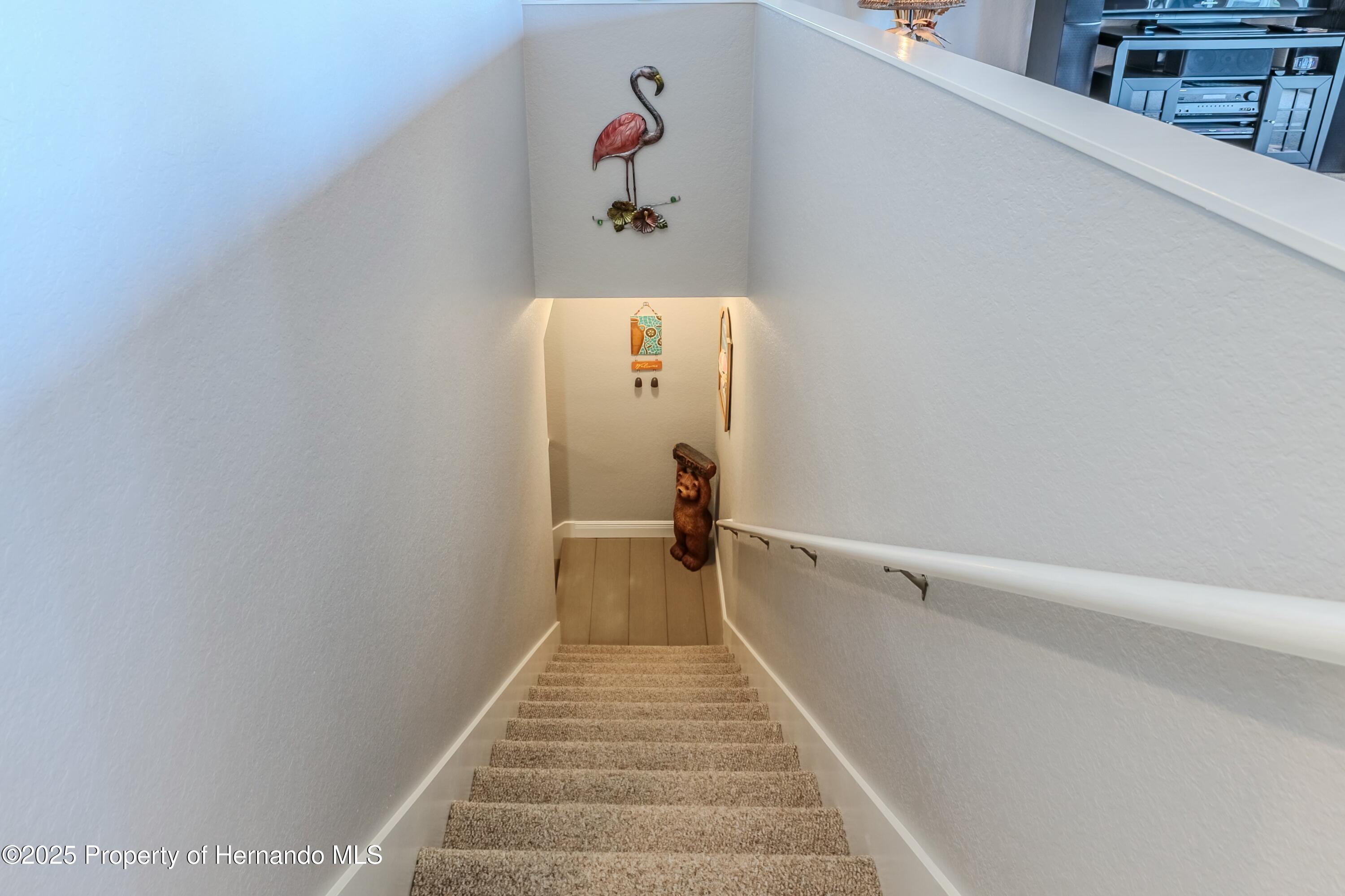 3546 Flamingo Boulevard, HERNANDO BEACH, Florida image 45