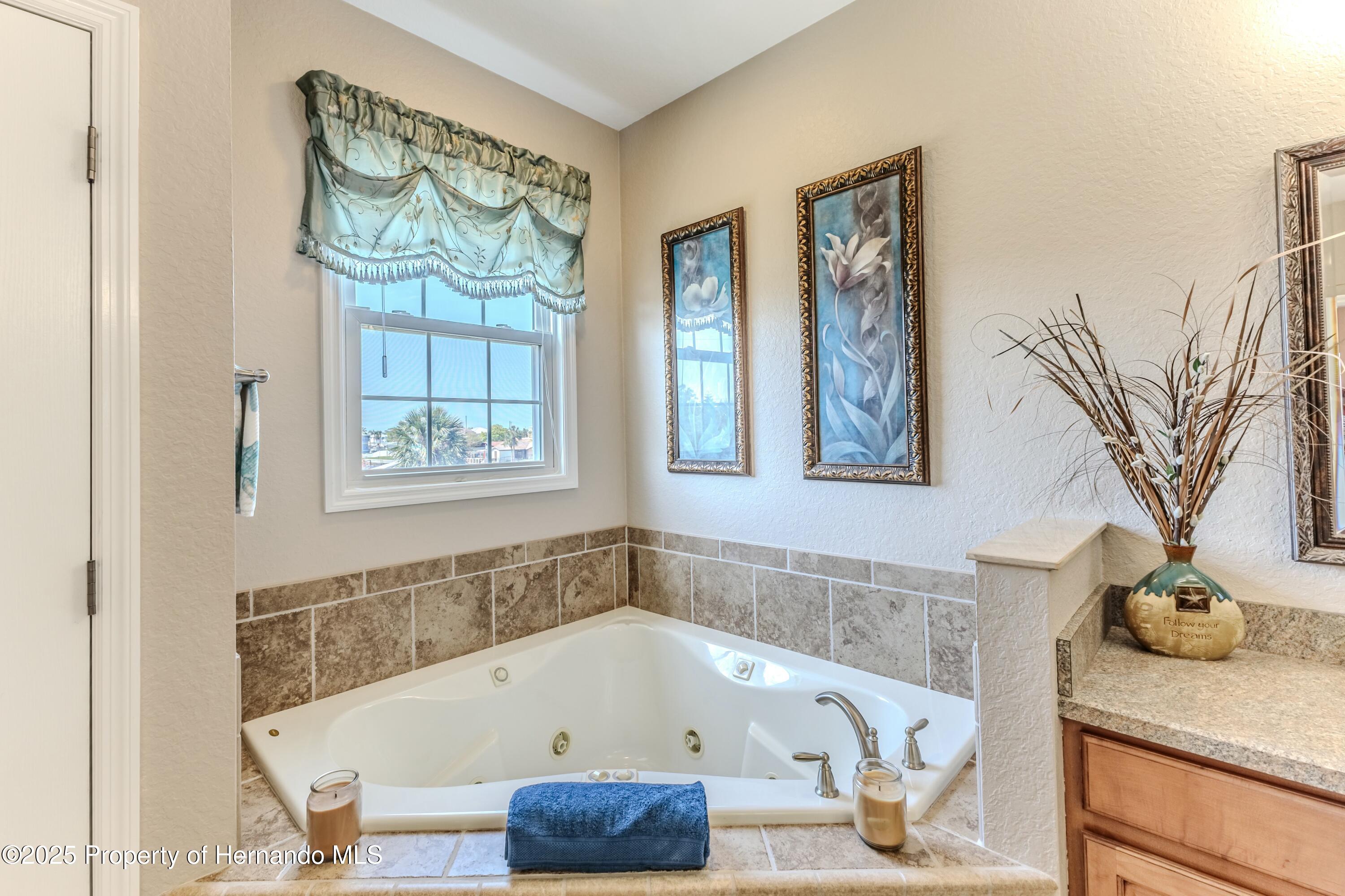 3546 Flamingo Boulevard, HERNANDO BEACH, Florida image 29
