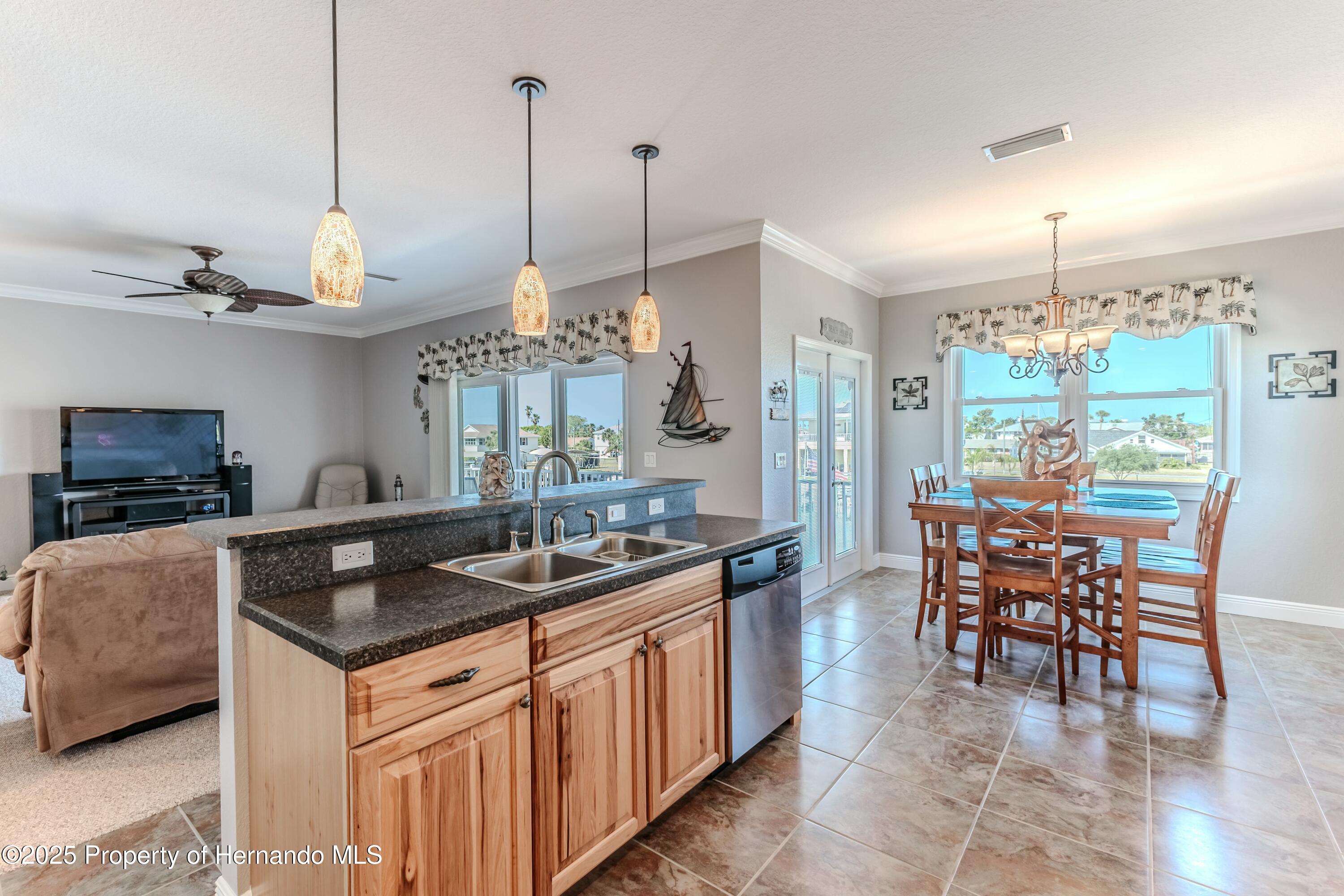 3546 Flamingo Boulevard, HERNANDO BEACH, Florida image 20