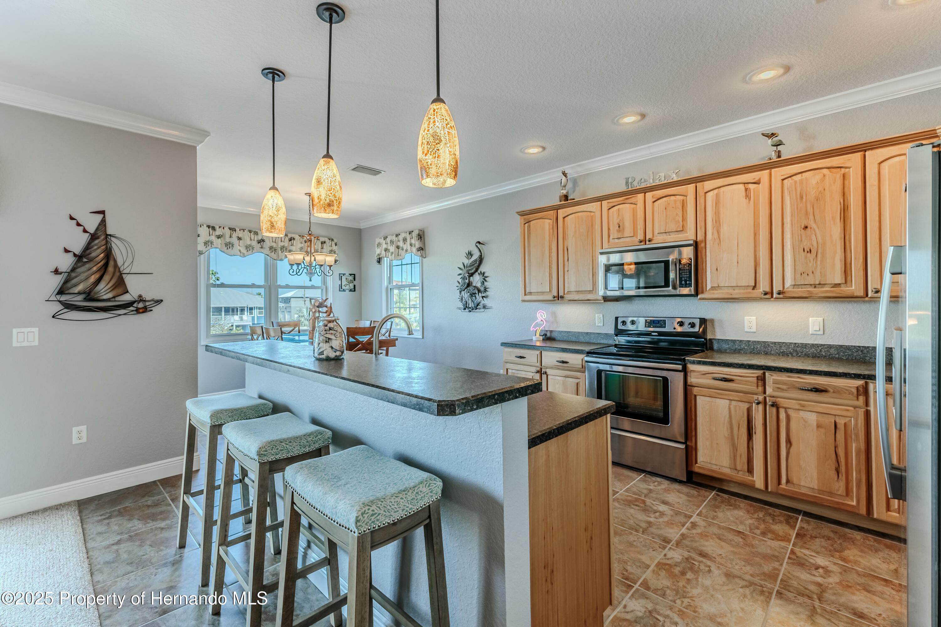 3546 Flamingo Boulevard, HERNANDO BEACH, Florida image 16