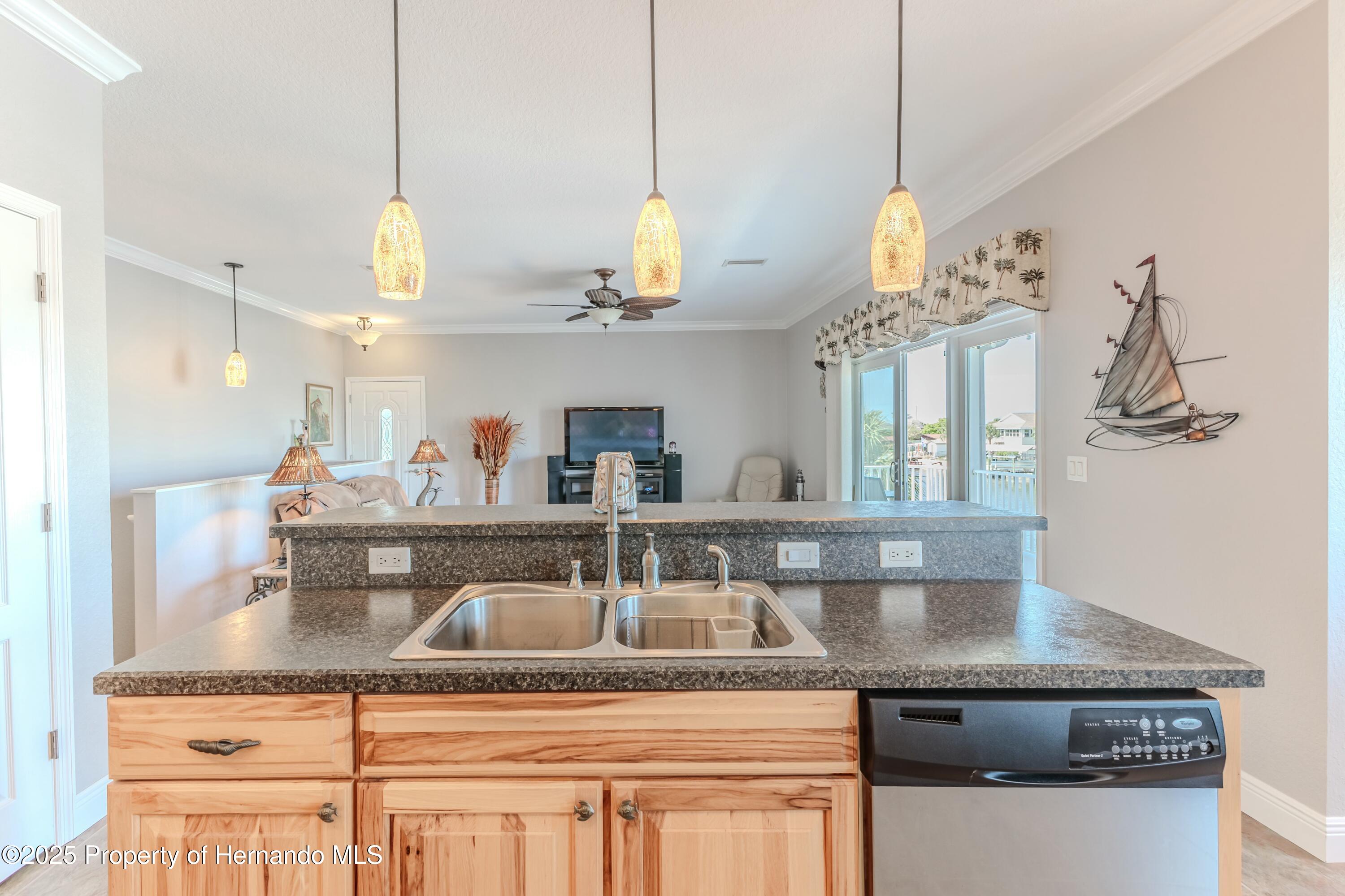 3546 Flamingo Boulevard, HERNANDO BEACH, Florida image 19