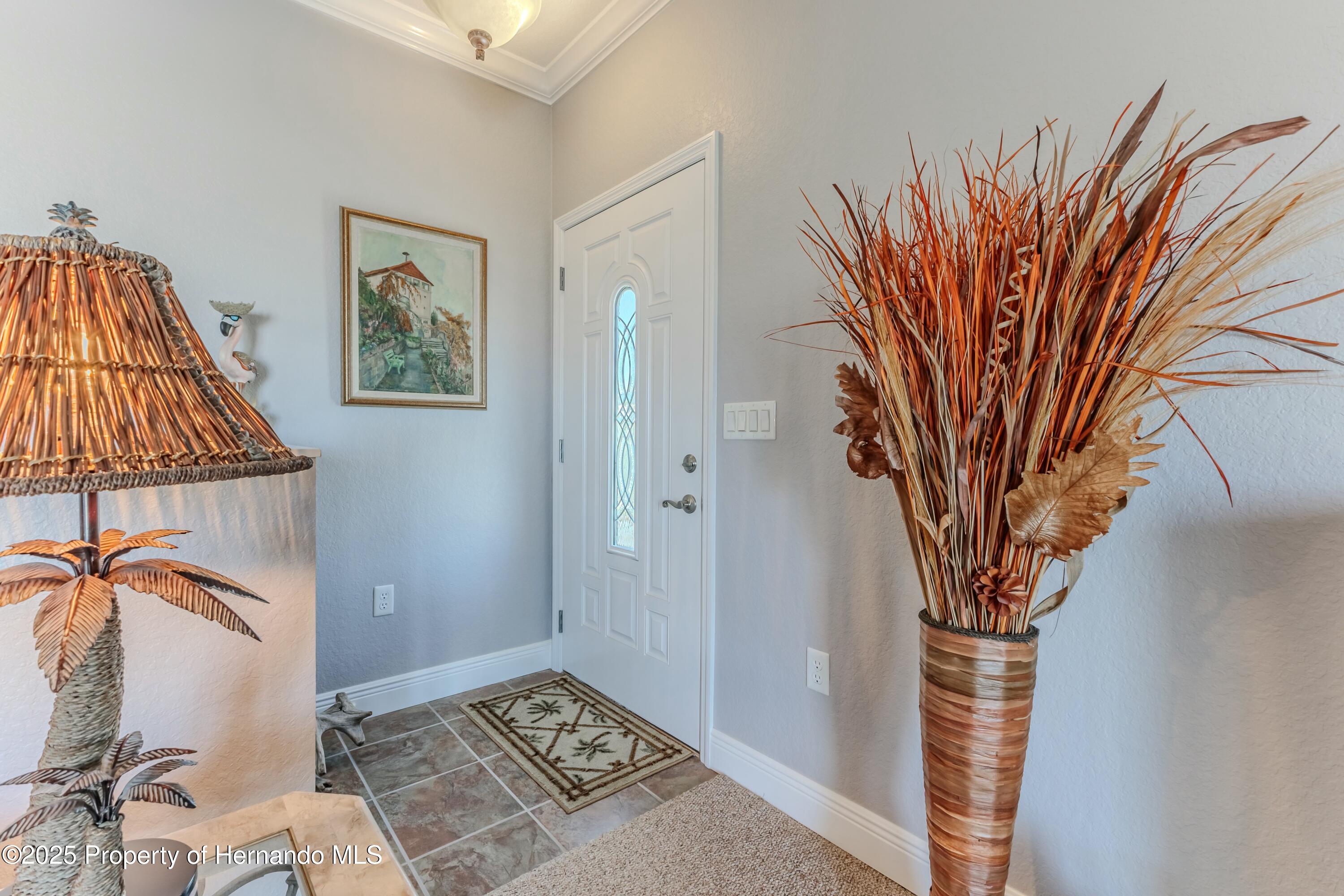 3546 Flamingo Boulevard, HERNANDO BEACH, Florida image 11