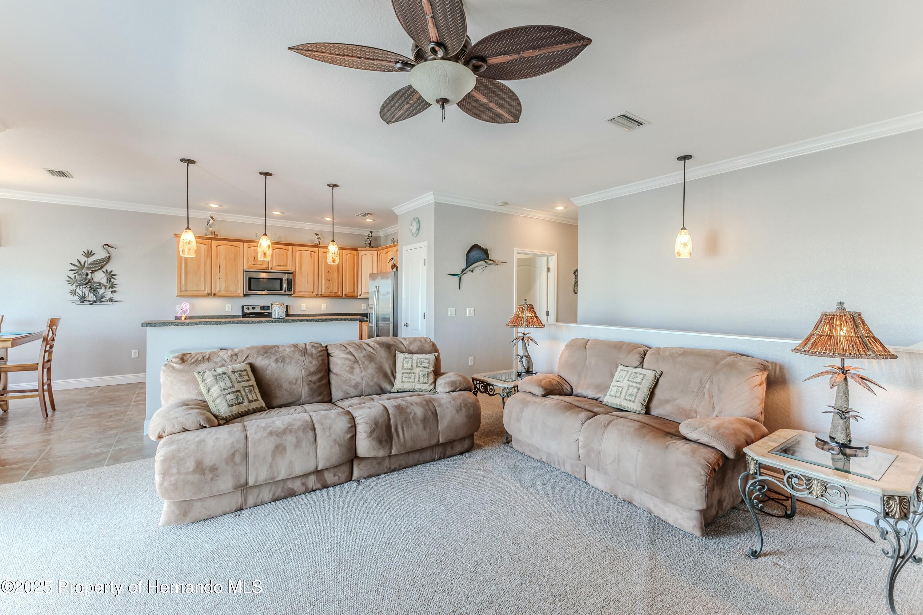 3546 Flamingo Boulevard, HERNANDO BEACH, Florida image 14