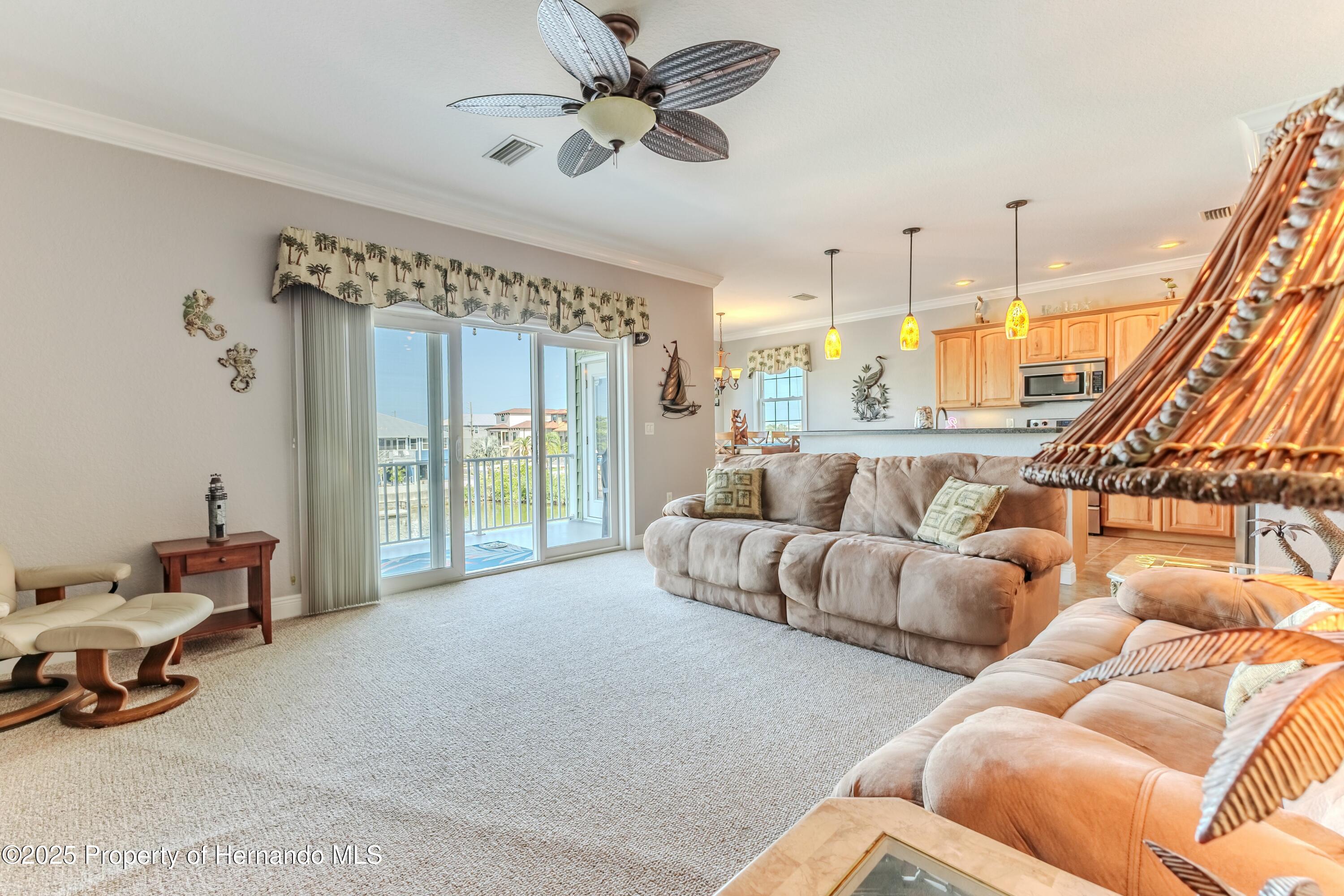 3546 Flamingo Boulevard, HERNANDO BEACH, Florida image 12