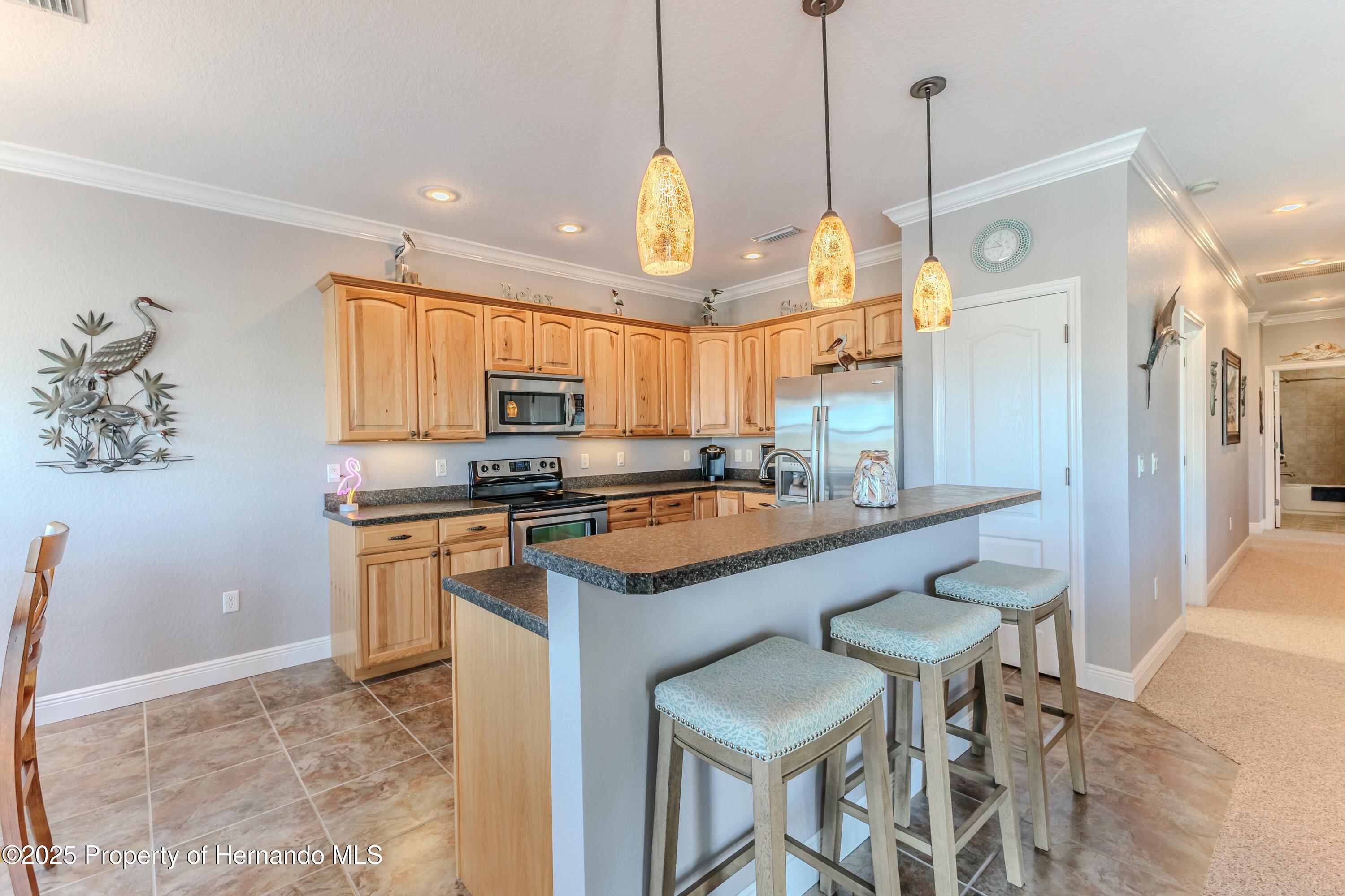 3546 Flamingo Boulevard, HERNANDO BEACH, Florida image 15