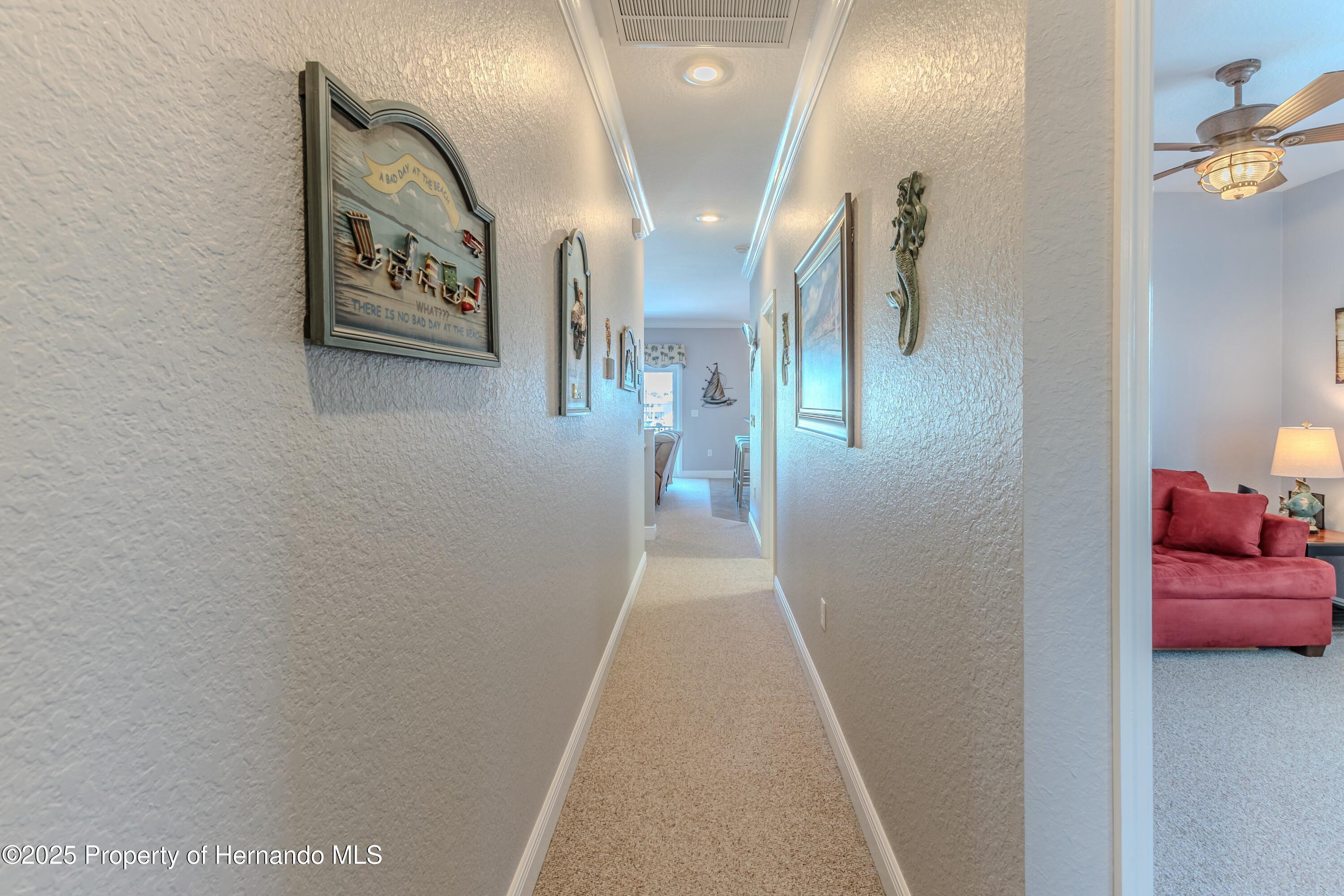 3546 Flamingo Boulevard, HERNANDO BEACH, Florida image 34