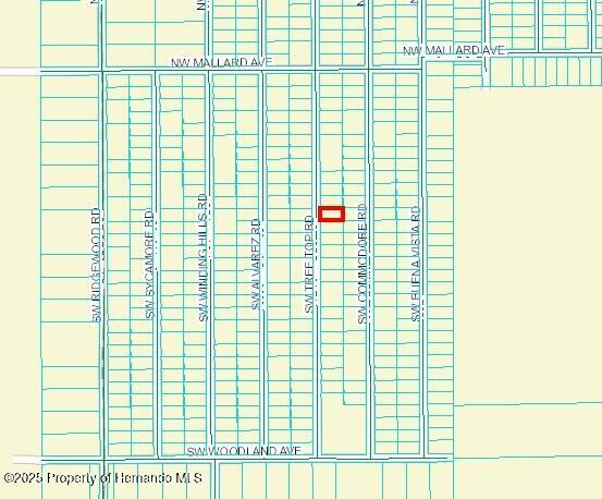 472751 Sw Tree Top Road, Dunnellon, Florida image 2