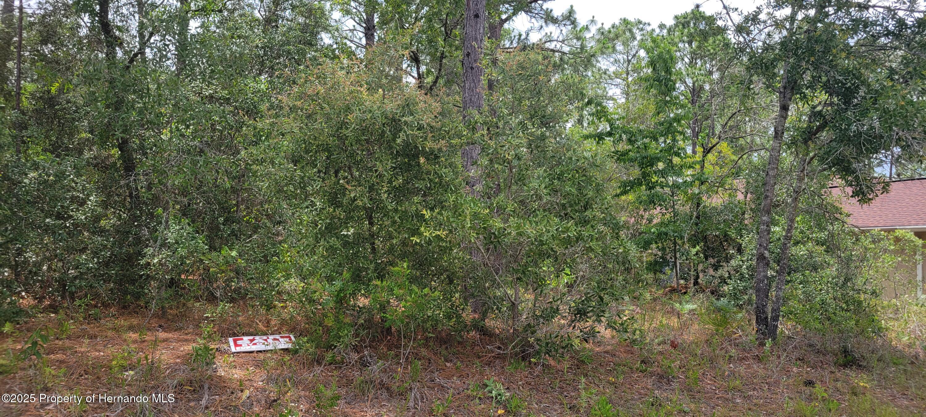 7062 N Tallwood Drive, Citrus Springs, Florida image 1