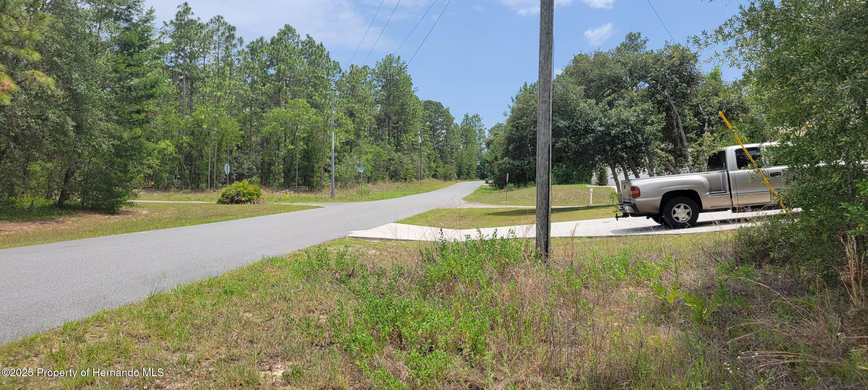 7062 N Tallwood Drive, Citrus Springs, Florida image 3
