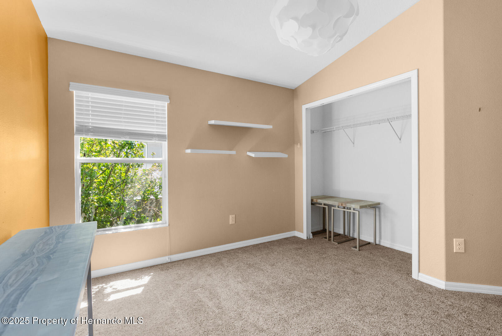 3600 Tuckerton Drive, LAND O LAKES, Florida image 20