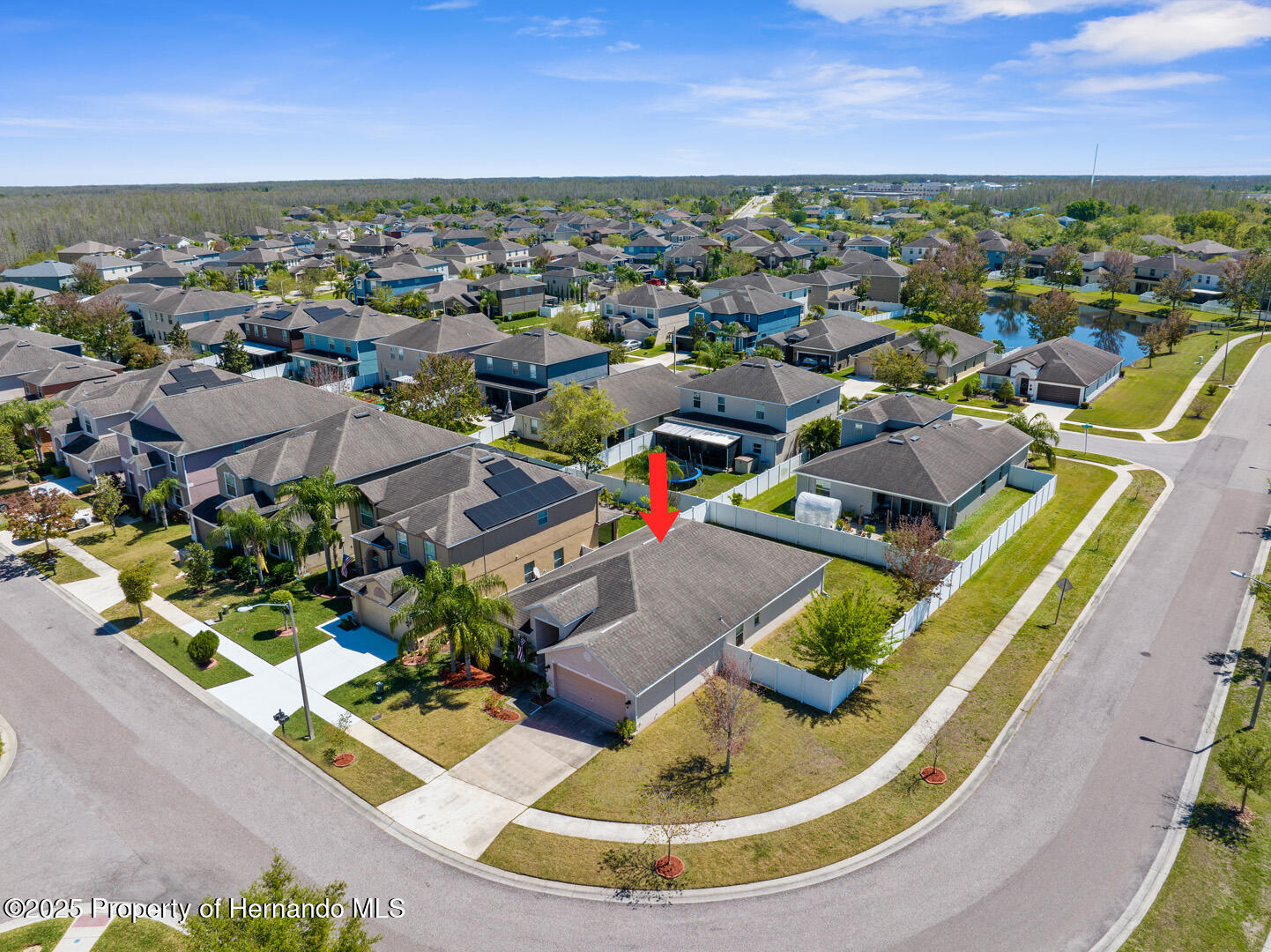3600 Tuckerton Drive, LAND O LAKES, Florida image 36