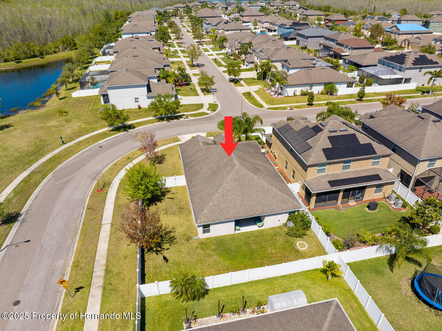 3600 Tuckerton Drive, LAND O LAKES, Florida image 38