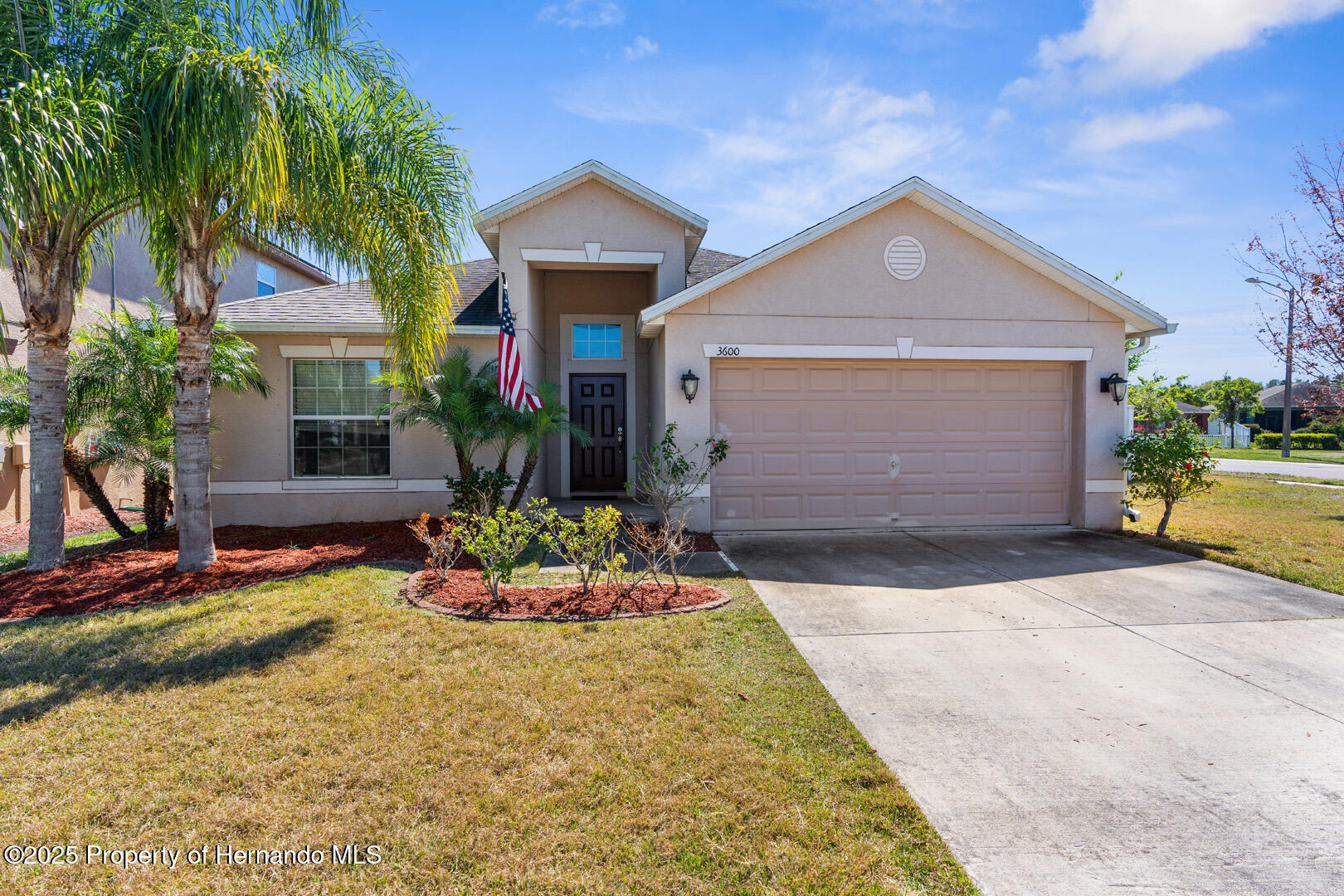 3600 Tuckerton Drive, LAND O LAKES, Florida image 1