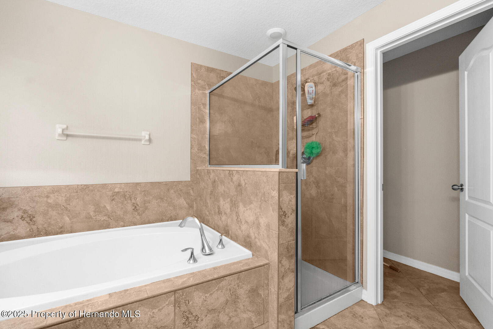 3600 Tuckerton Drive, LAND O LAKES, Florida image 26
