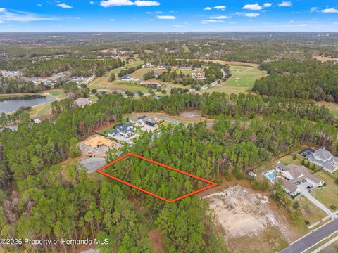 Vacant Land For Sale - 5022 Cedar Ridge Drive<br/> Brooksville, FL 34601